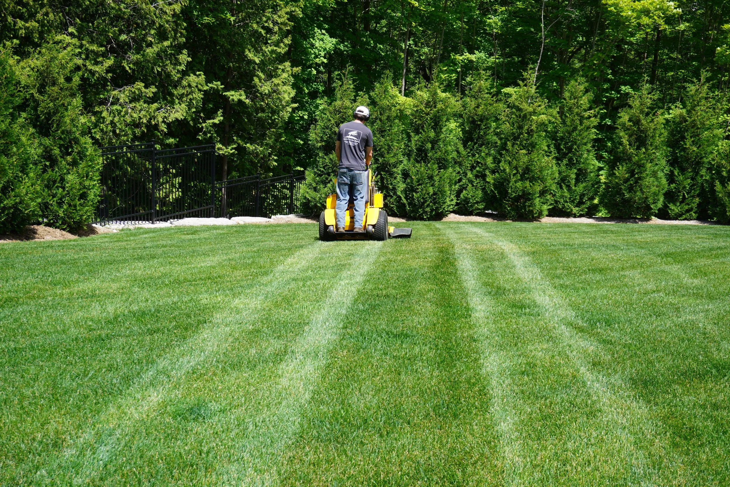 Person using a yellow riding lawn mower on a well-manicured lawn with lush green bushes and trees in the background.