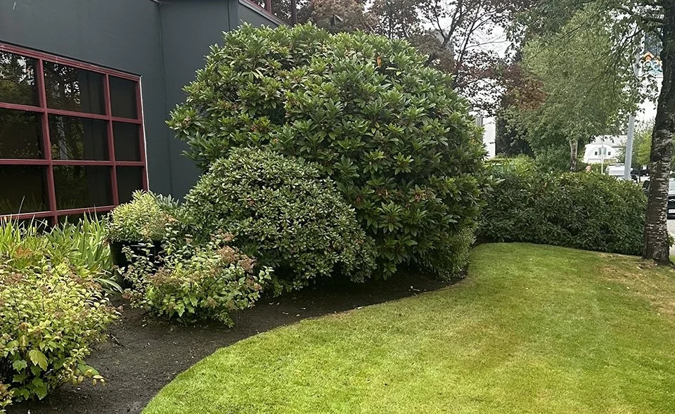 Commercial Property Maintenance