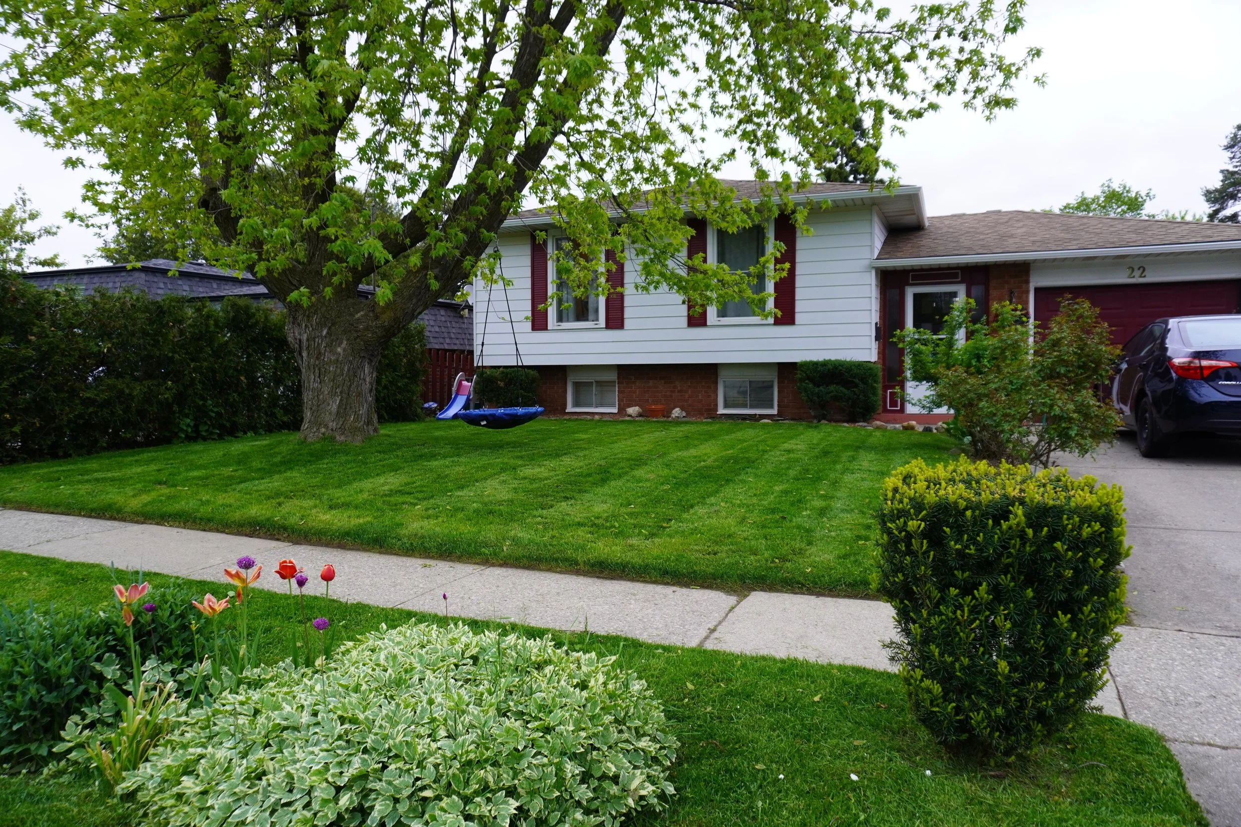Front yard of a suburban house with a large tree, a swing hanging from it, a well-maintained lawn, bushes, and flowers. A driveway with a parked black car is visible on the right.