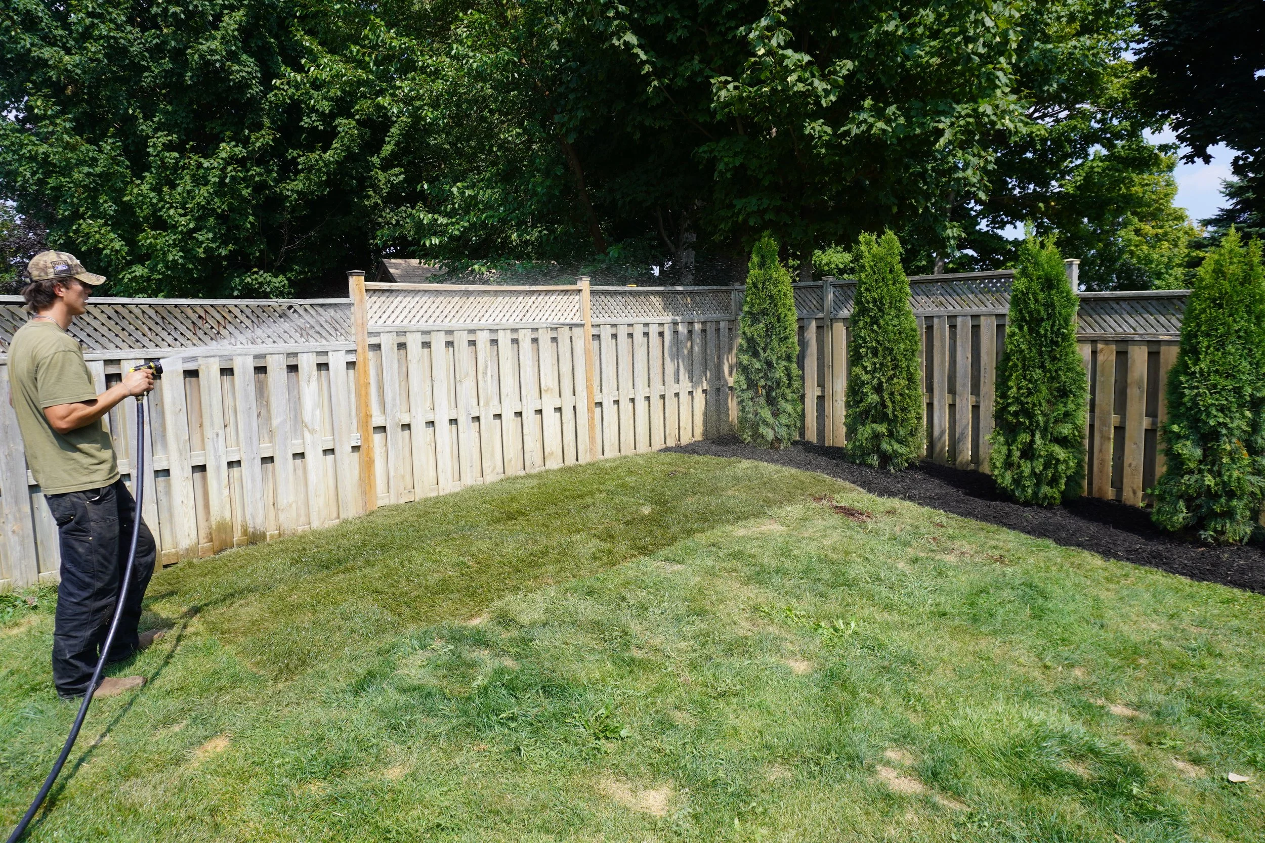 A man standing on a lawn, watering plants along a wooden fence with a garden hose, in a backyard with trees in the background.