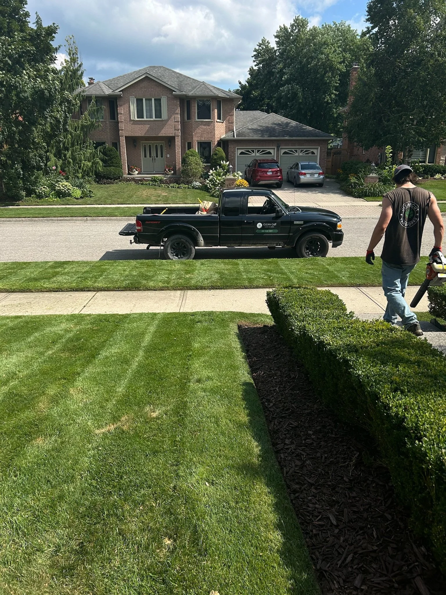 A worker in a black t-shirt and light jeans carrying a leaf blower walking in a front yard with freshly cut grass. A black pickup truck with company logos is parked on the street. In the background, there are two houses with driveways and parked cars