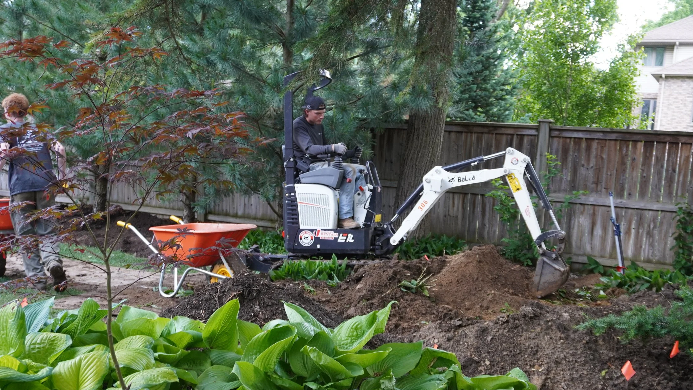 A man operates a small white excavator digging in a backyard garden with green plants, trees, and a wooden fence.