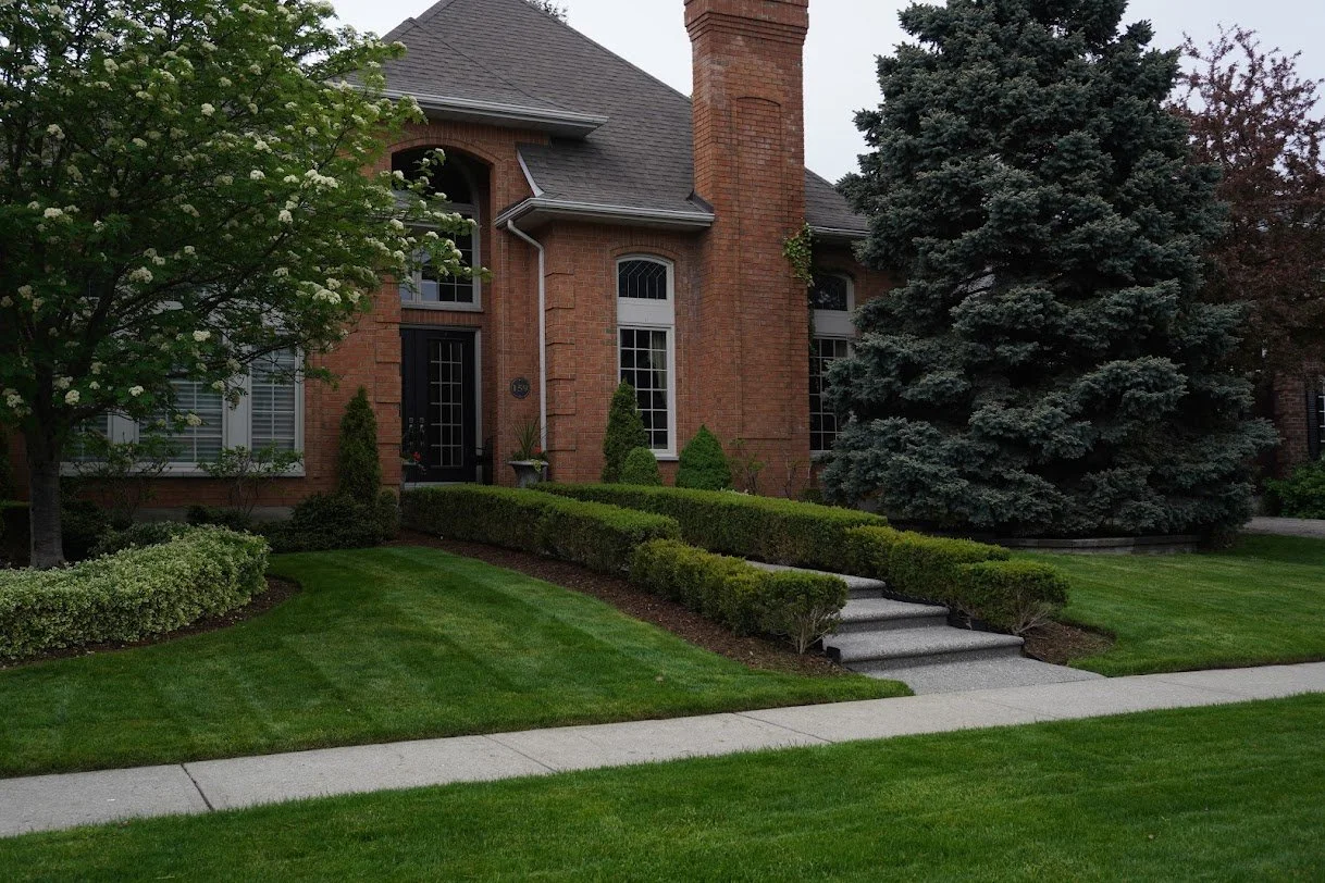 Front yard of a brick house with a walkway, manicured lawn, trimmed bushes, and large trees.