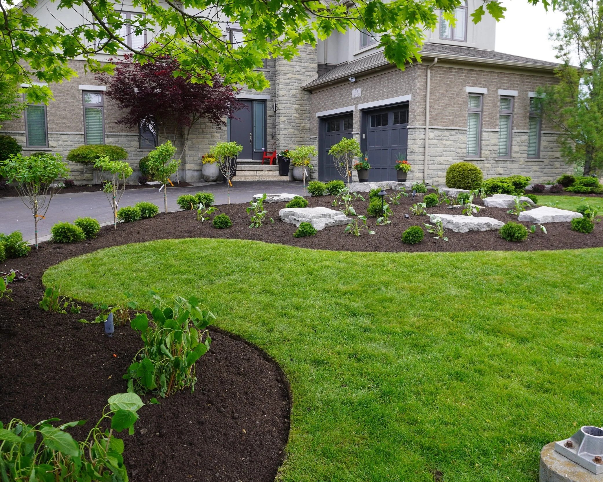 A landscaped yard in front of a house features a variety of small green plants, bushes, and young trees, with a patio area and a house with stone and brick exterior walls. There are large rocks placed within the landscaping.