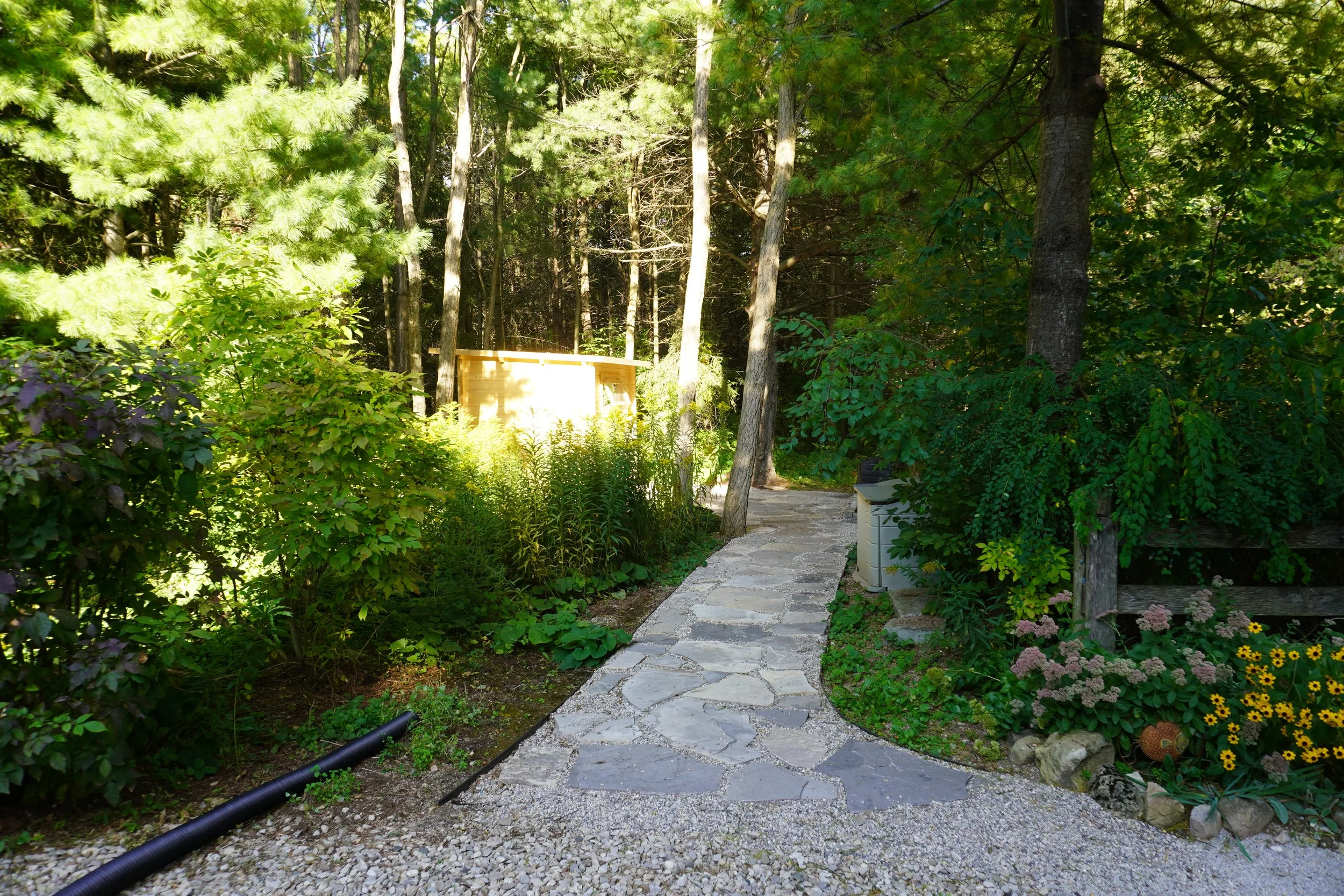 A stone pathway winding through a lush garden with green plants, bushes, and colorful flowers, leading towards a wooded area in the background.