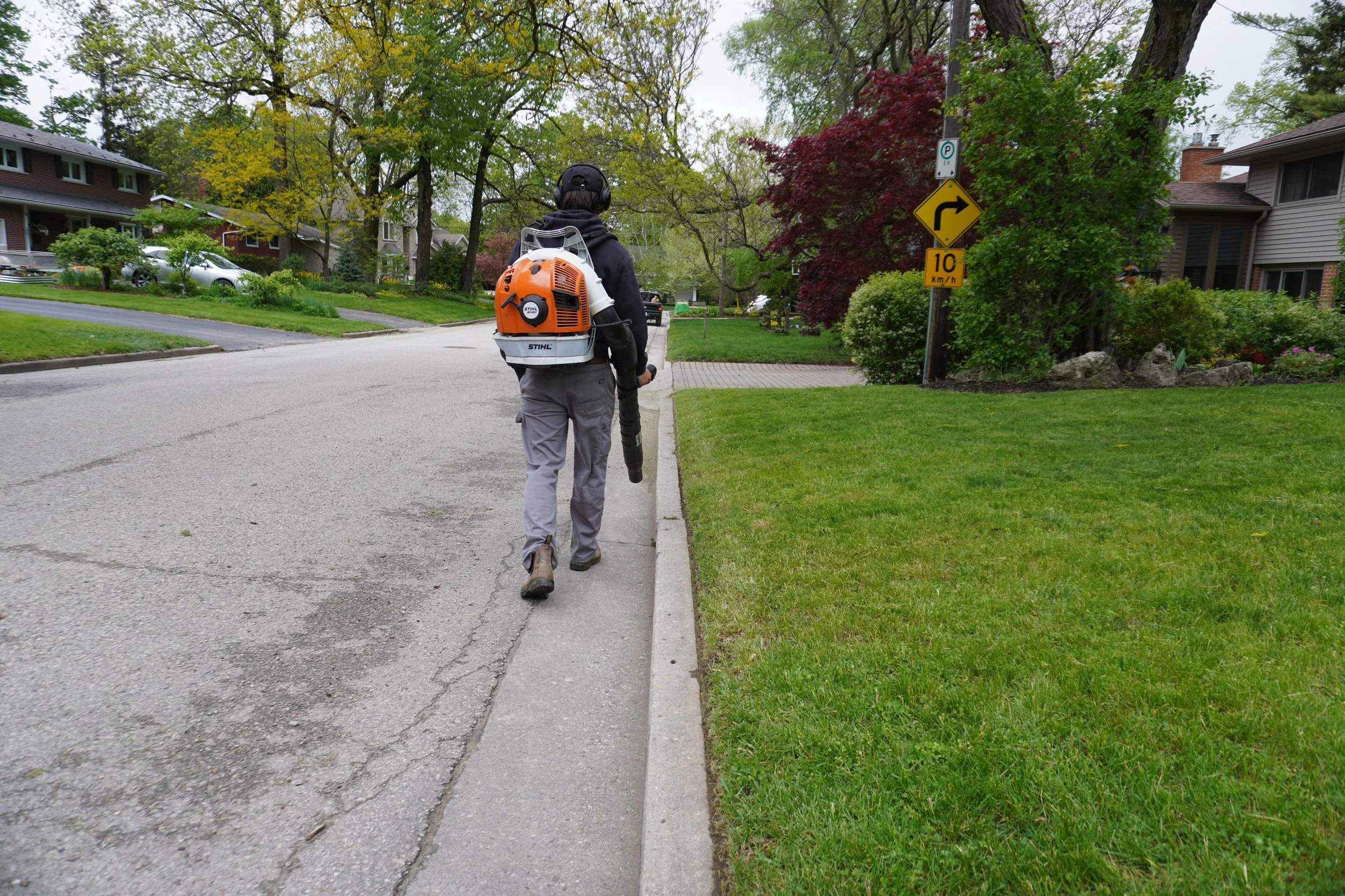 A person wearing a black jacket, gray pants, and brown shoes walking on a suburban sidewalk with a backpack leaf blower. The street is lined with trees and houses, with a yellow traffic sign indicating right turn and a parking sign on the right side 