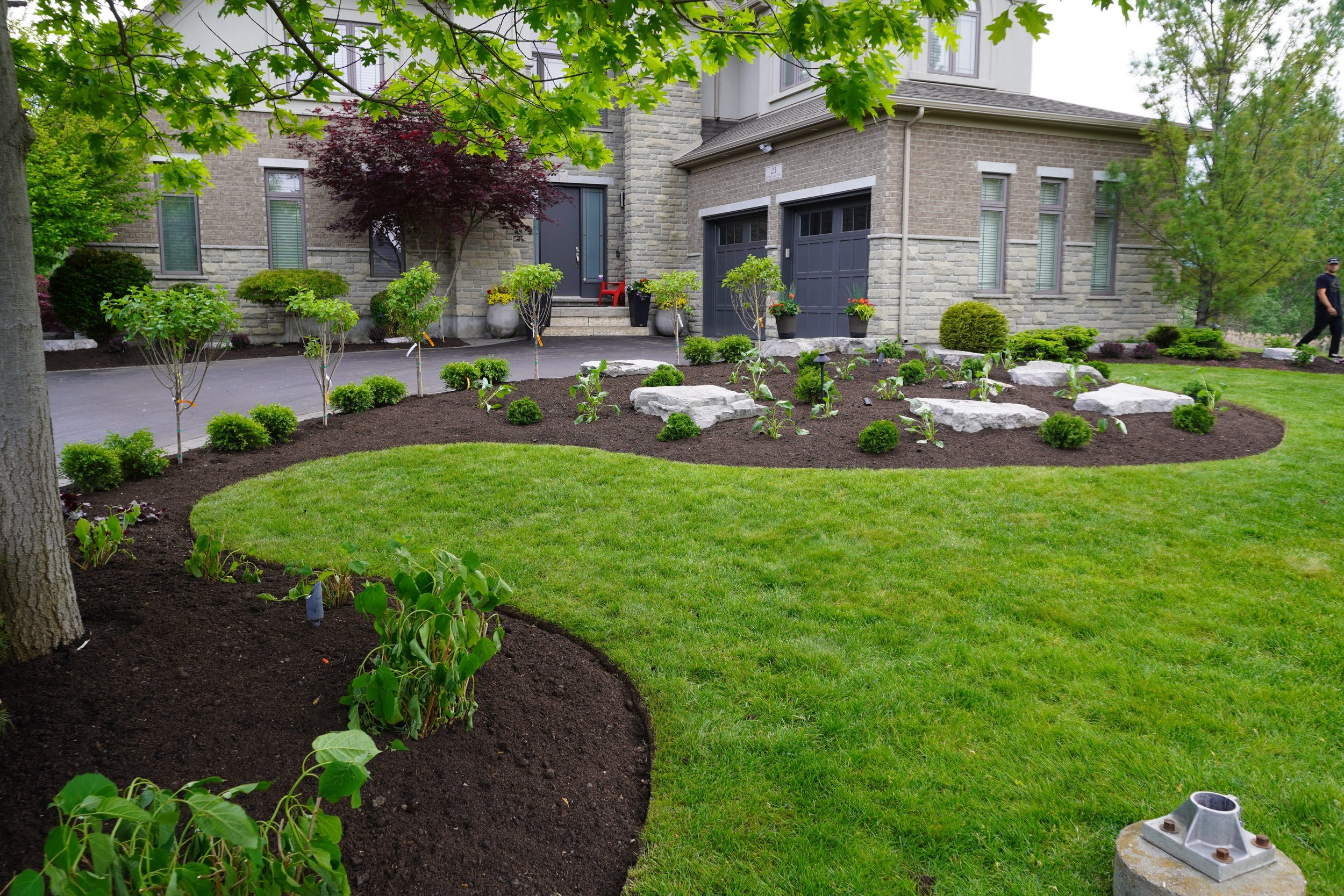 Front yard of a house with manicured lawn, newly planted trees, shrubs, and flower pots, with a stone and brick exterior house in the background.