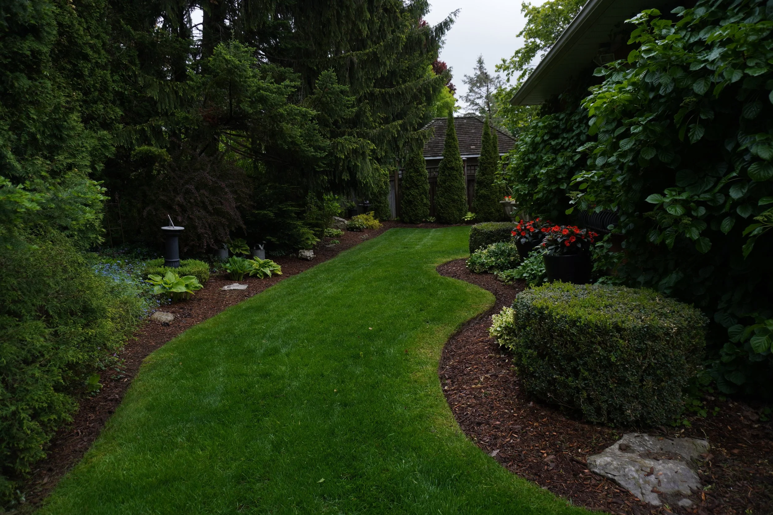 A well-maintained backyard garden with a curved green lawn, surrounded by various shrubs, trees, and potted plants, with a wooden fence in the back and a house on the right.