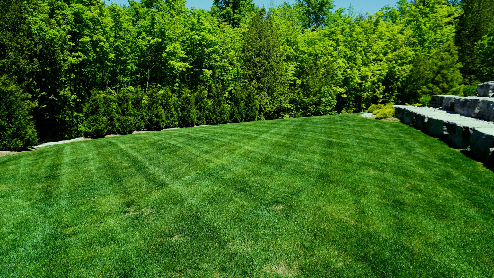 A lush, green lawn with trimmed grass bordered by a row of trees and shrubs in the background, and a stone wall on the right side.