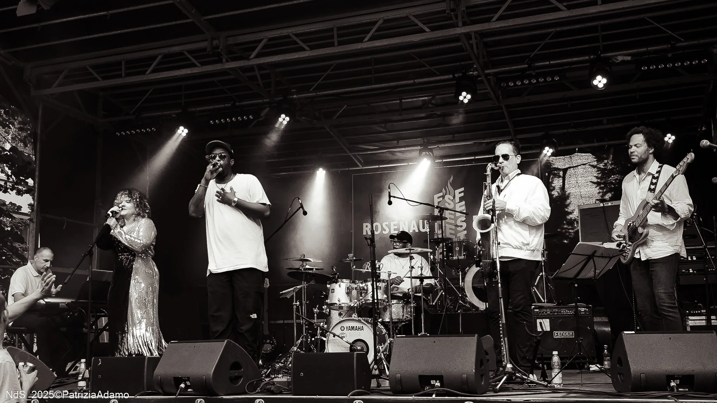 Feuerseefest Stuttgart, Aug 2025. Image by @PatriziaAdamo