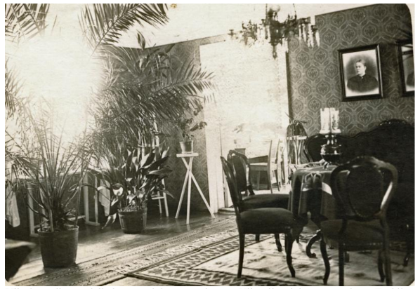 Kuvassa on olohuone, jossa on useita puita ja kasveja, ruokapöytä ja tuoleja, seinällä on muotokuva, ja katossa on kattovalaisin.