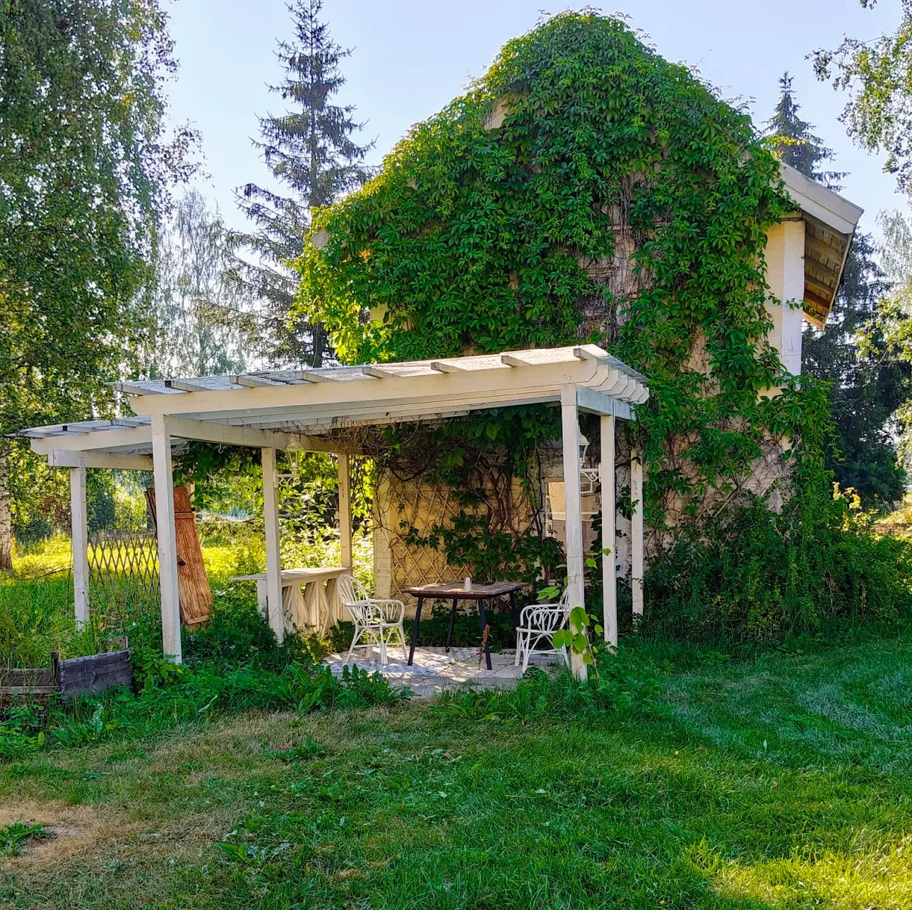 Meijeri kesällä.webp