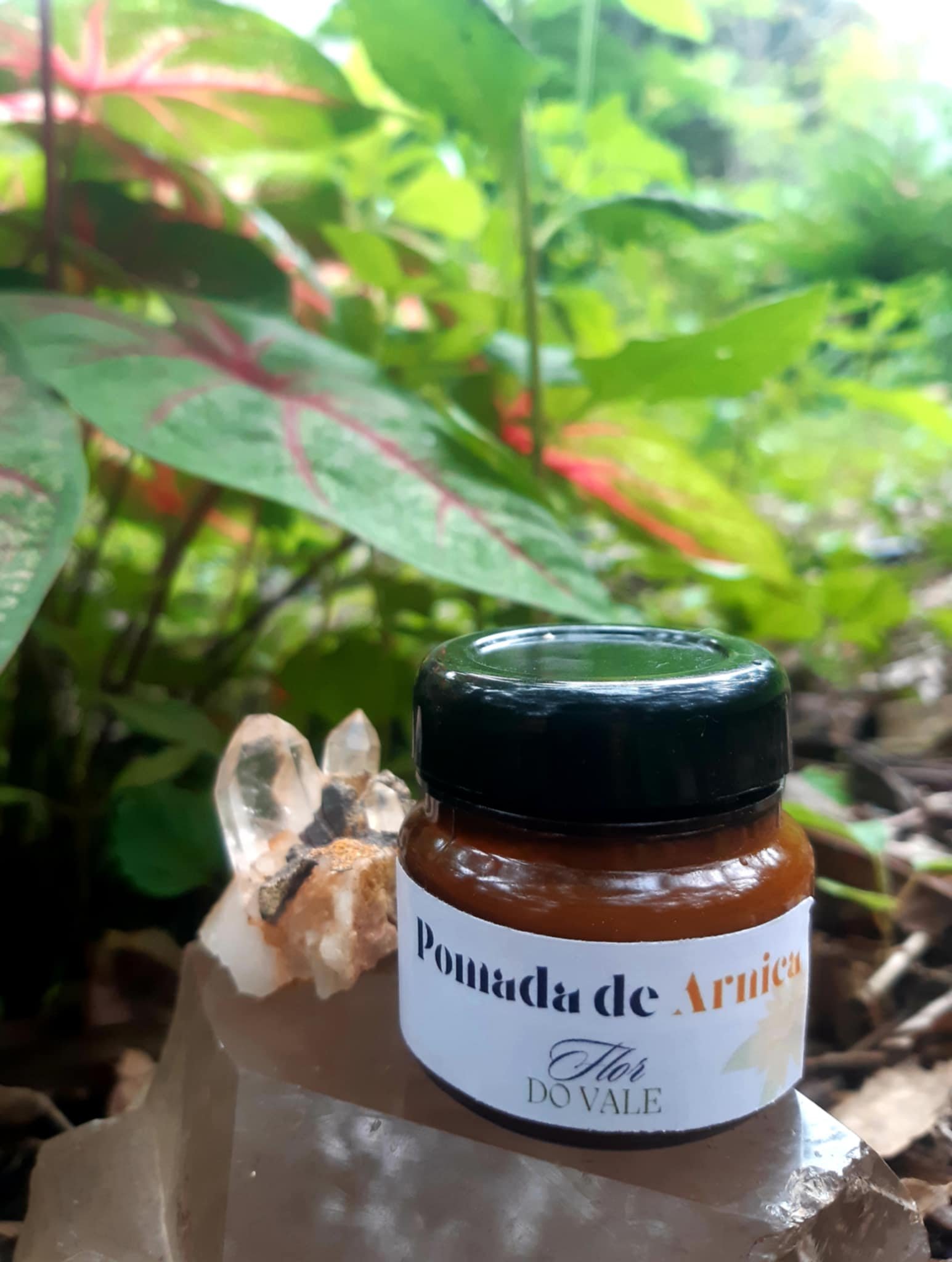 Pomada de Arnica e Erva Sagrada.
