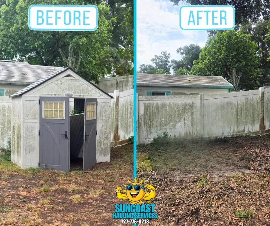 Shed demolition in Palm Harbor, FL