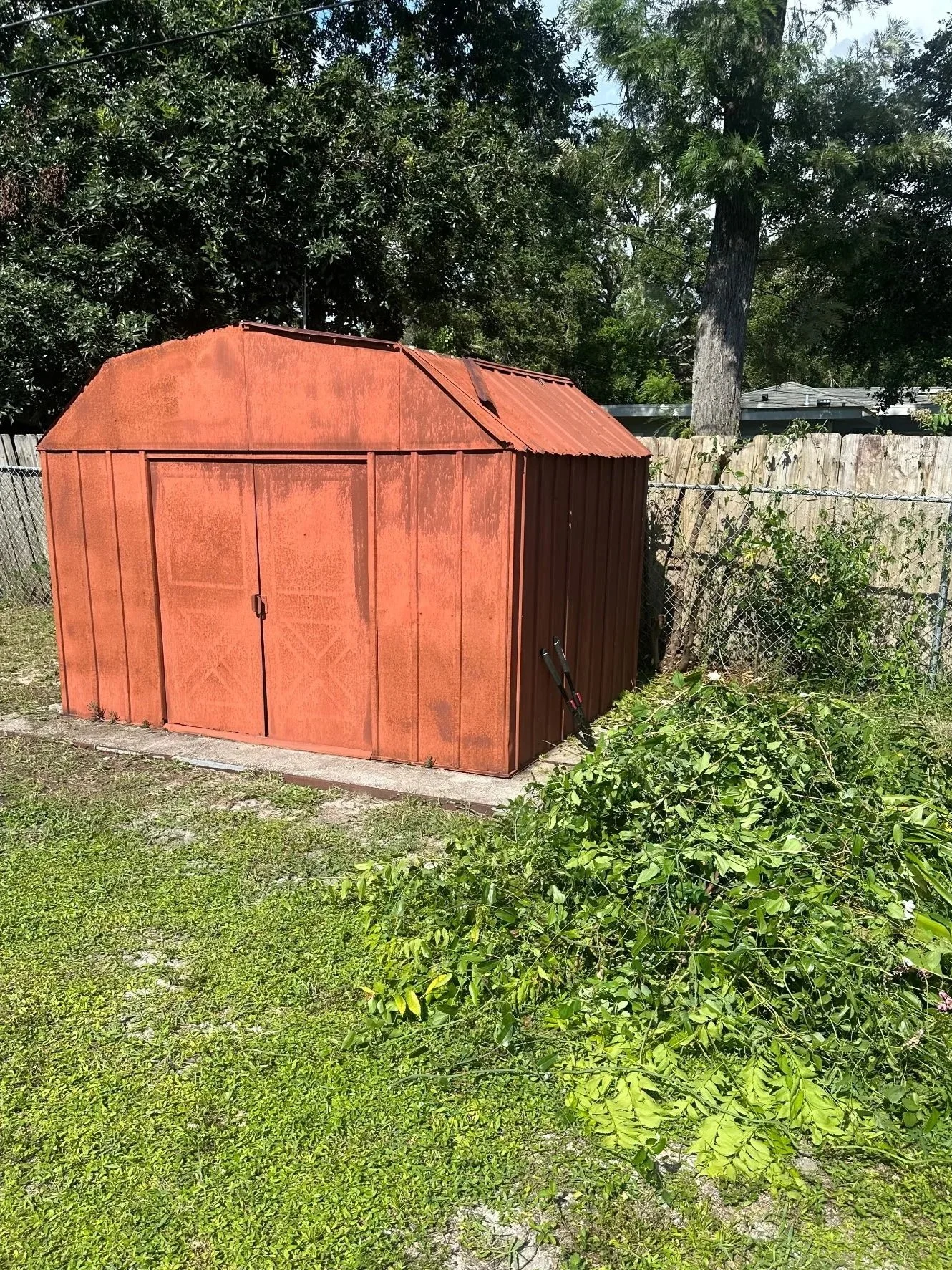 Shed removal and yard cleanup by Suncoast Hauling Services