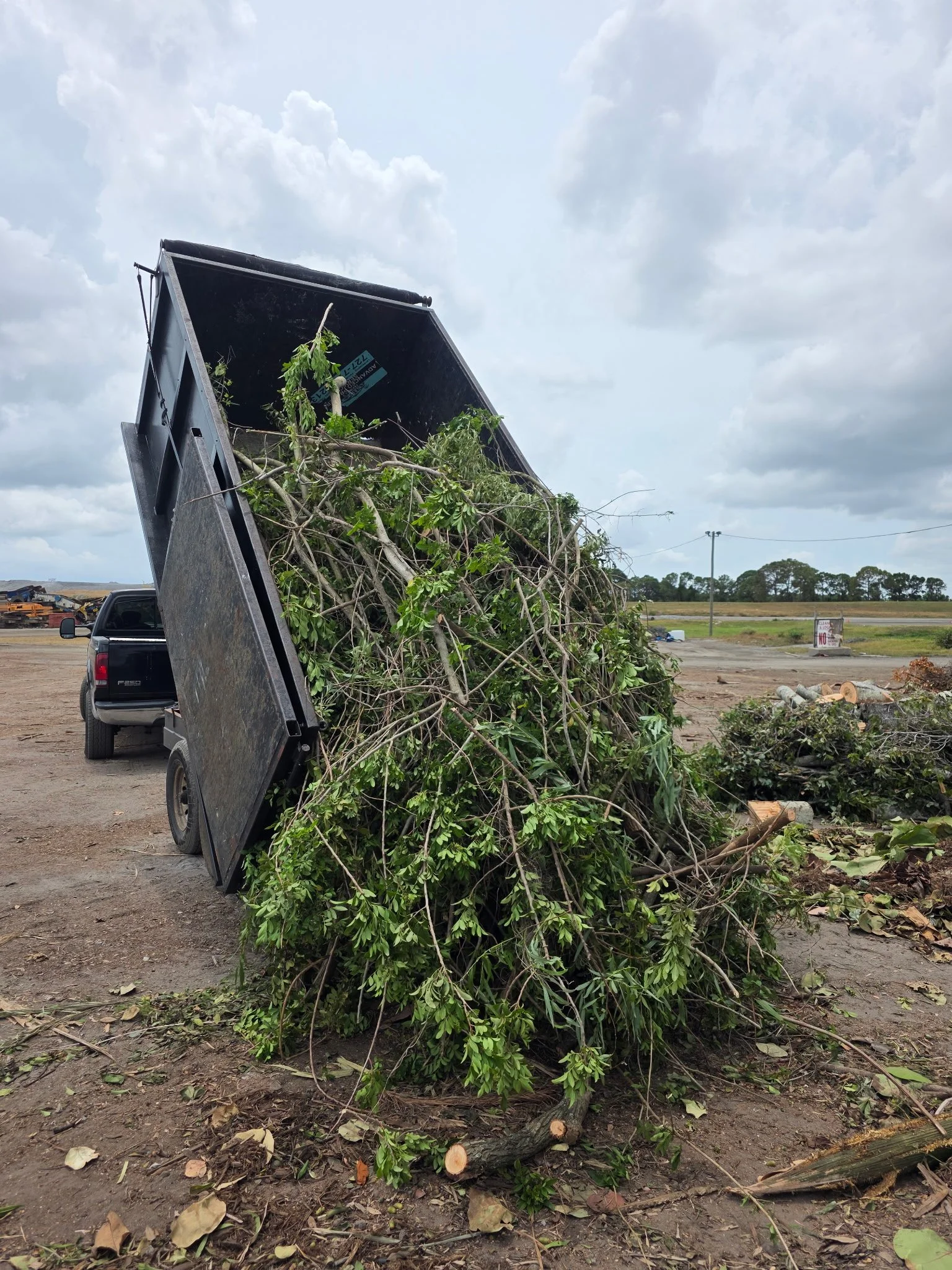 tree debris being hauled away in pinellas county