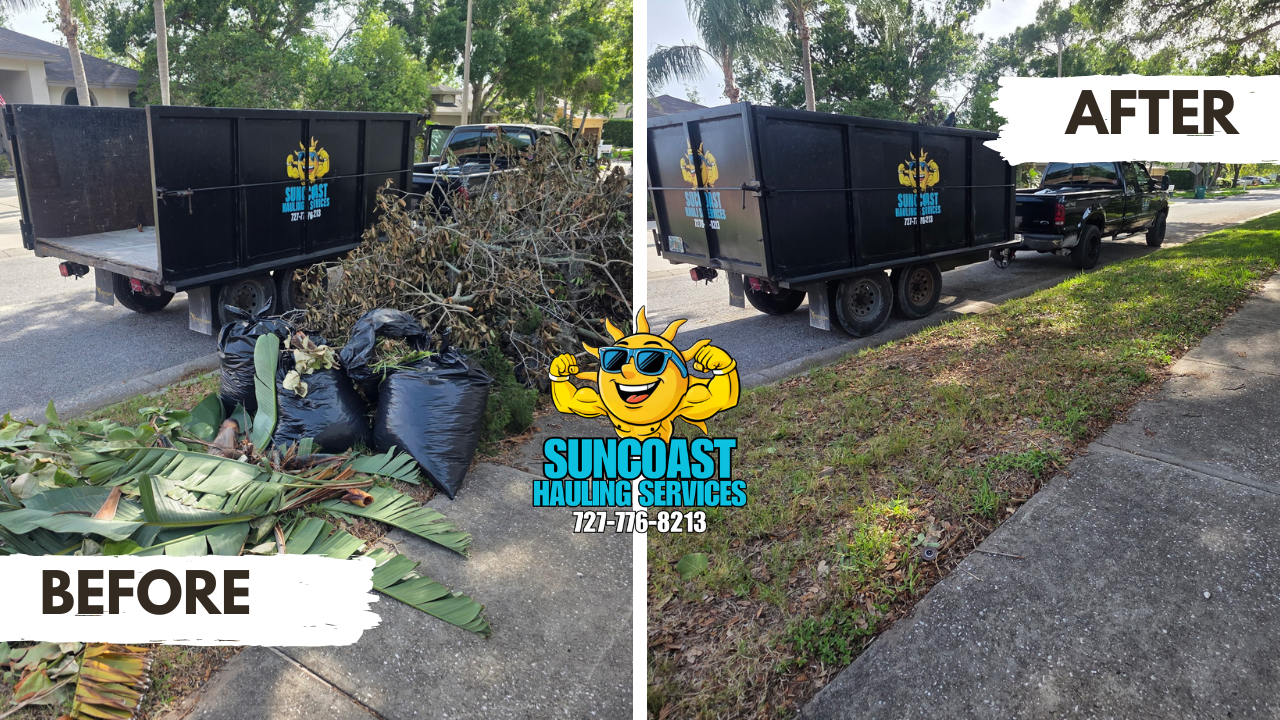 Yard debris removal completed in Palm Harbor, FL. Our team cleared bagged yard waste and debris, leaving the area clean and ready for use.