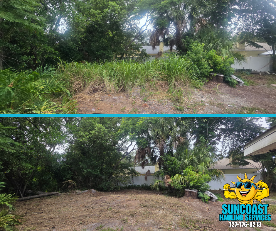 Before and after backyard clearing and brush removal project completed by Suncoast Hauling Services in Palm Harbor, FL. Our team removed overgrown vegetation and yard debris, leaving the property cleaner and more usable.