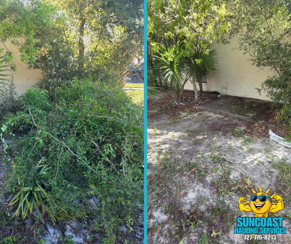 Tree & Yard Debris Removal – Palm Harbor, FL

This Palm Harbor property had become overwhelmed with overgrown branches, brush, and tree debris. Suncoast Hauling Services cleared the entire area, removing the debris and leaving the property clean, ope