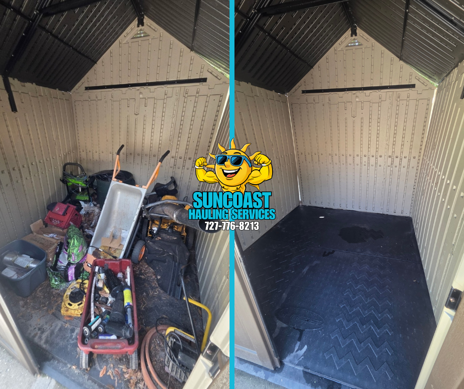 Shed Cleanout in Seminole, FL — Before-and-after photos from a shed cleanout completed by Suncoast Hauling Services. We removed unwanted yard equipment, tools, outdoor items, and general junk, leaving the shed clean and ready for use. Serving Seminol