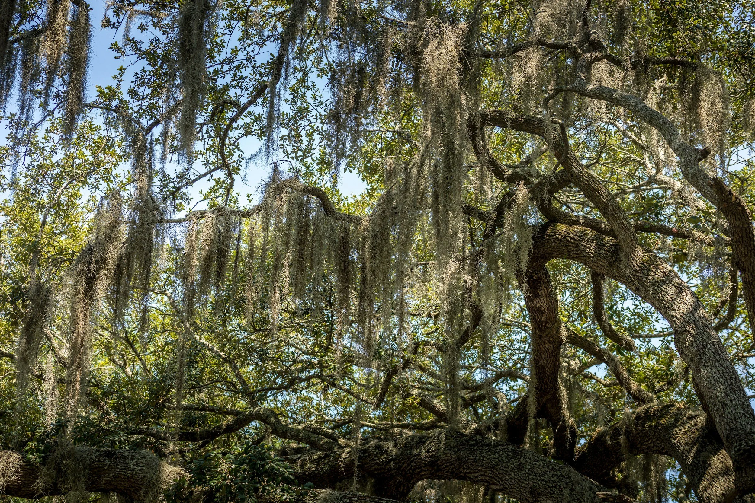 unsplash-image-ZBKnIc09dB0.jpg