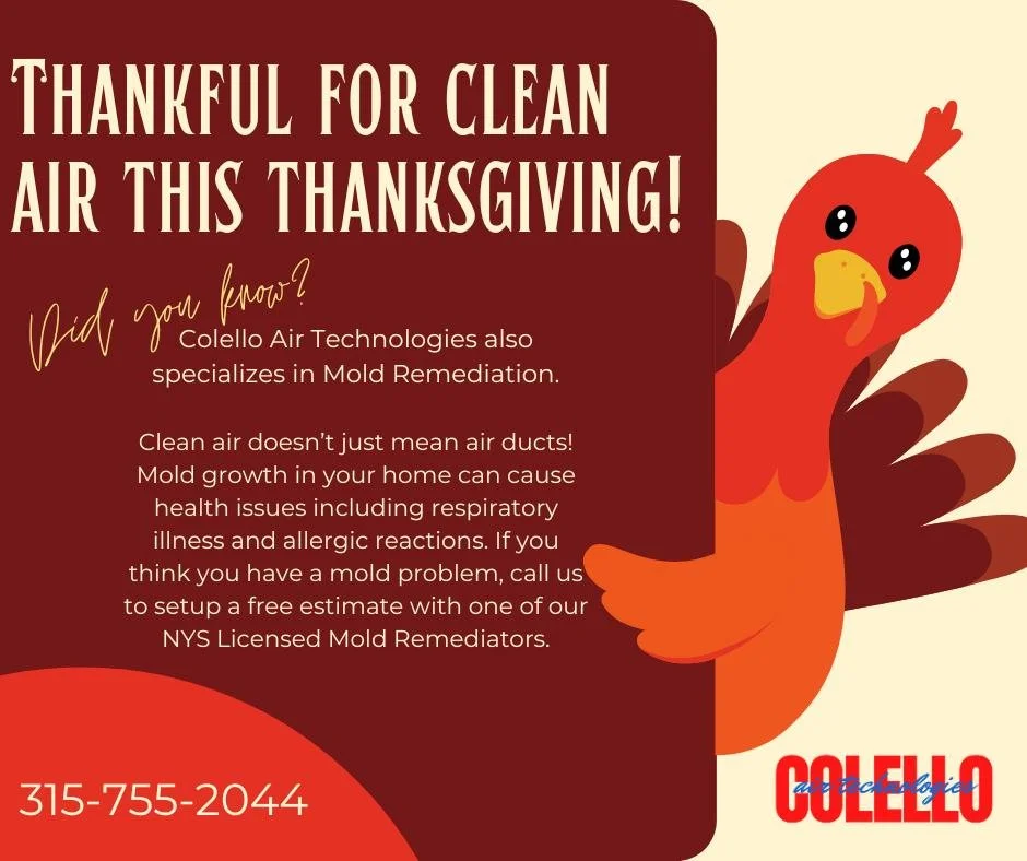 This Thanksgiving, breathe easy 🦃
Colello Air Technologies provides mold inspections and full mold remediation. Protect your home or business before the holiday rush!
Call us to setup a free inspection 315-755-2044