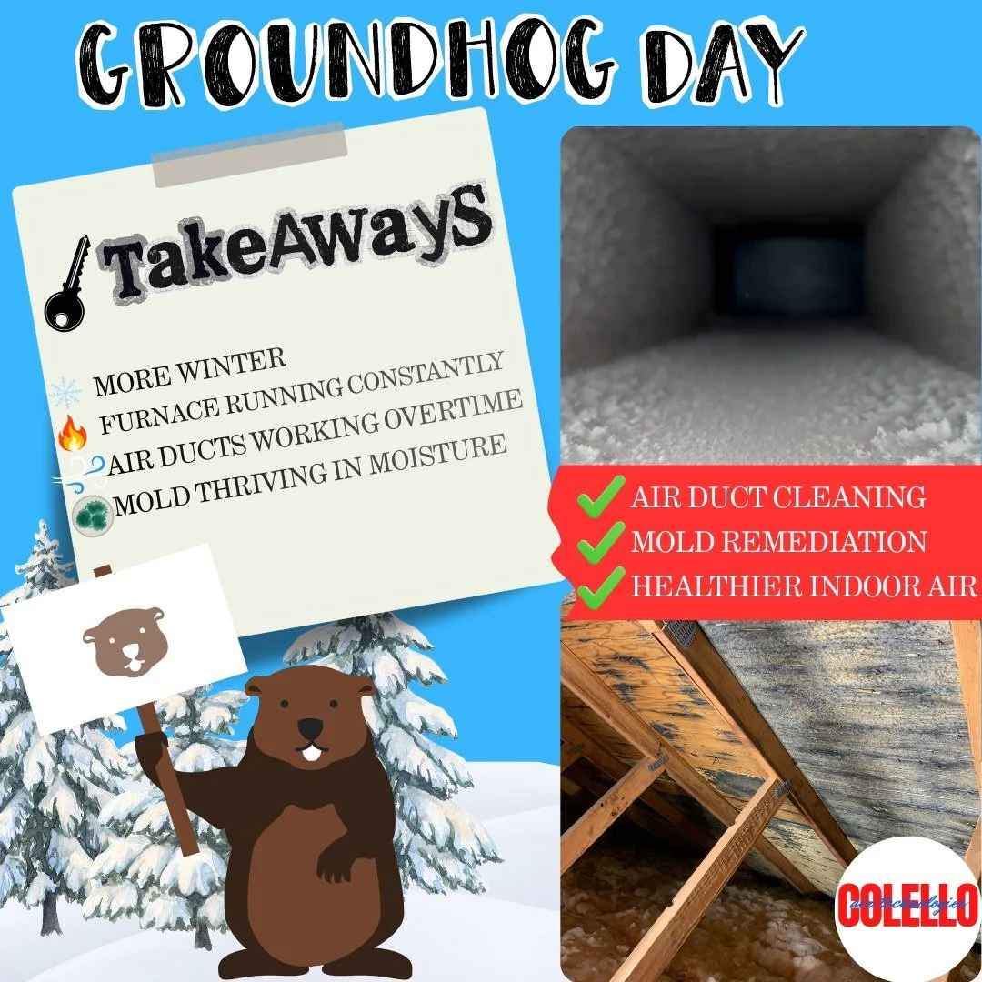 Punxsutawney Phil says...winter isn't done yet! We had a feeling that was going to be the case ❄☃
That means your furnace is working overtime and your air ducts are too. More run time=more duct, moisture, and potential mold where you can't see it.
Be