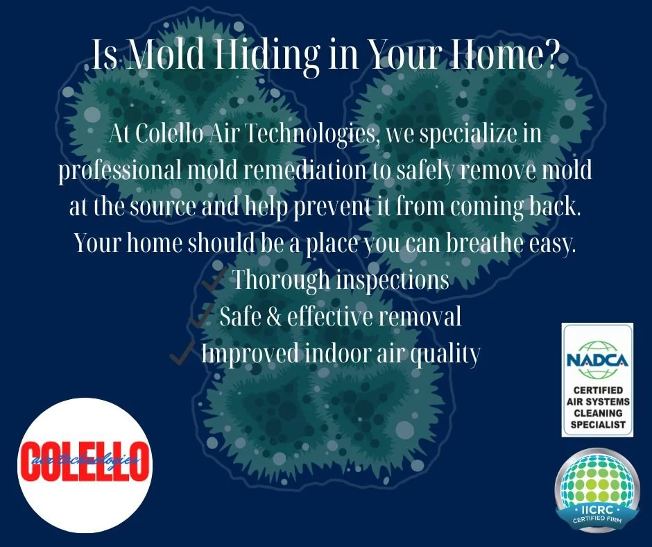 Mold isn&rsquo;t always visible but it can still impact your air quality and your health. Musty smells, recent water damage, or allergy symptoms could all be signs it&rsquo;s time to take a closer look. 
Don&rsquo;t wait until it becomes a bigger pro