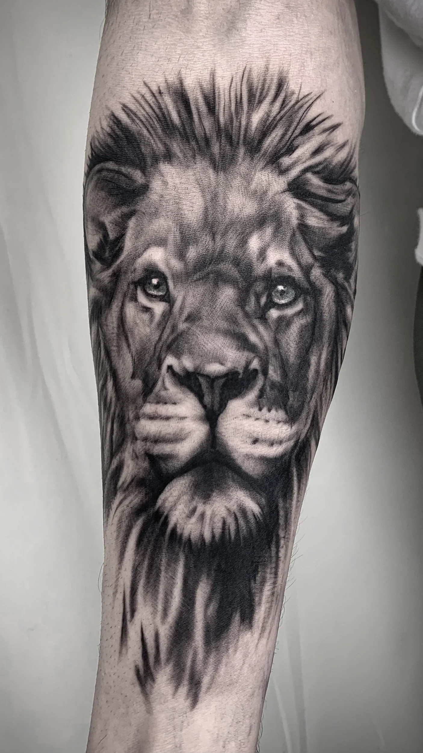 Tattoo, tattoos, tattoo artist, tattoo artist near me, tattooing, realism, realistic, photorealistic, realistic tattooing, realism tattooing, photorealistic tattooing, portrait, portrait artist, portraits, portraiture, animal, animals, animal tattoo,