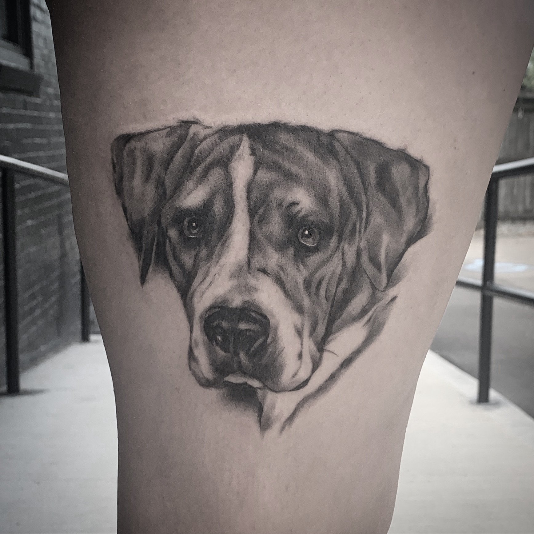 Black and gray tattoo of a dog’s face, likely a pit bull, with realistic shading. Tattoo, tattoo artist, tattoos, realistic tattoo, portrait tattoo, artistic tattoo, experienced tattoo artist, Oregon, tattoo artist near me, nature tattoo, tattoo shop