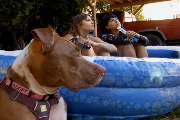 Slamdance Film Festival 2026 Review: “Danny Is My Boyfriend”