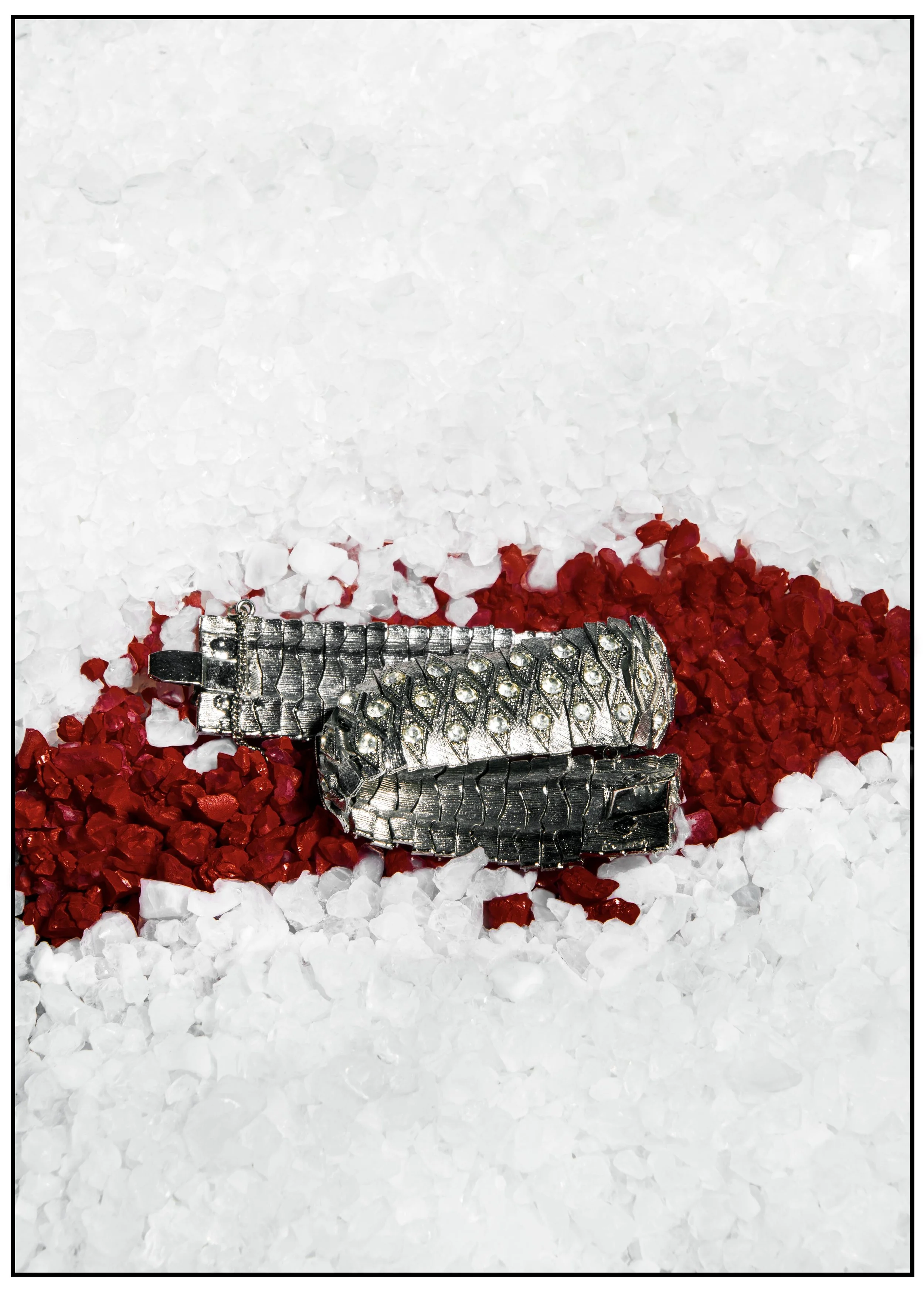 tonini corradinipsd copia.jpg