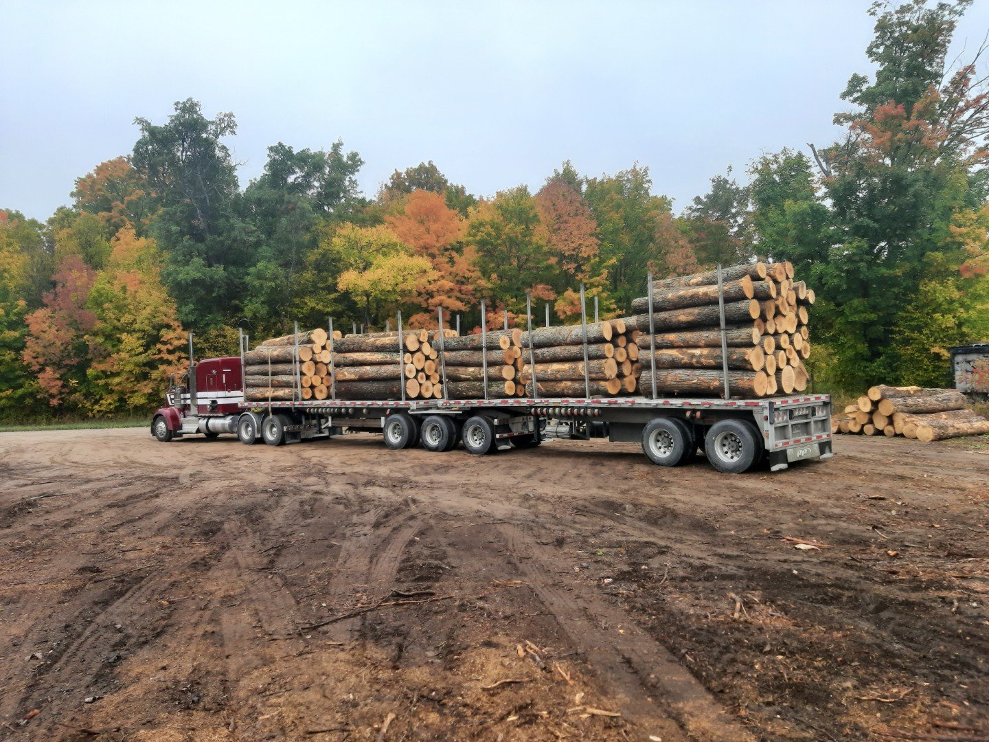 Timber Purchase & Log Brokerage