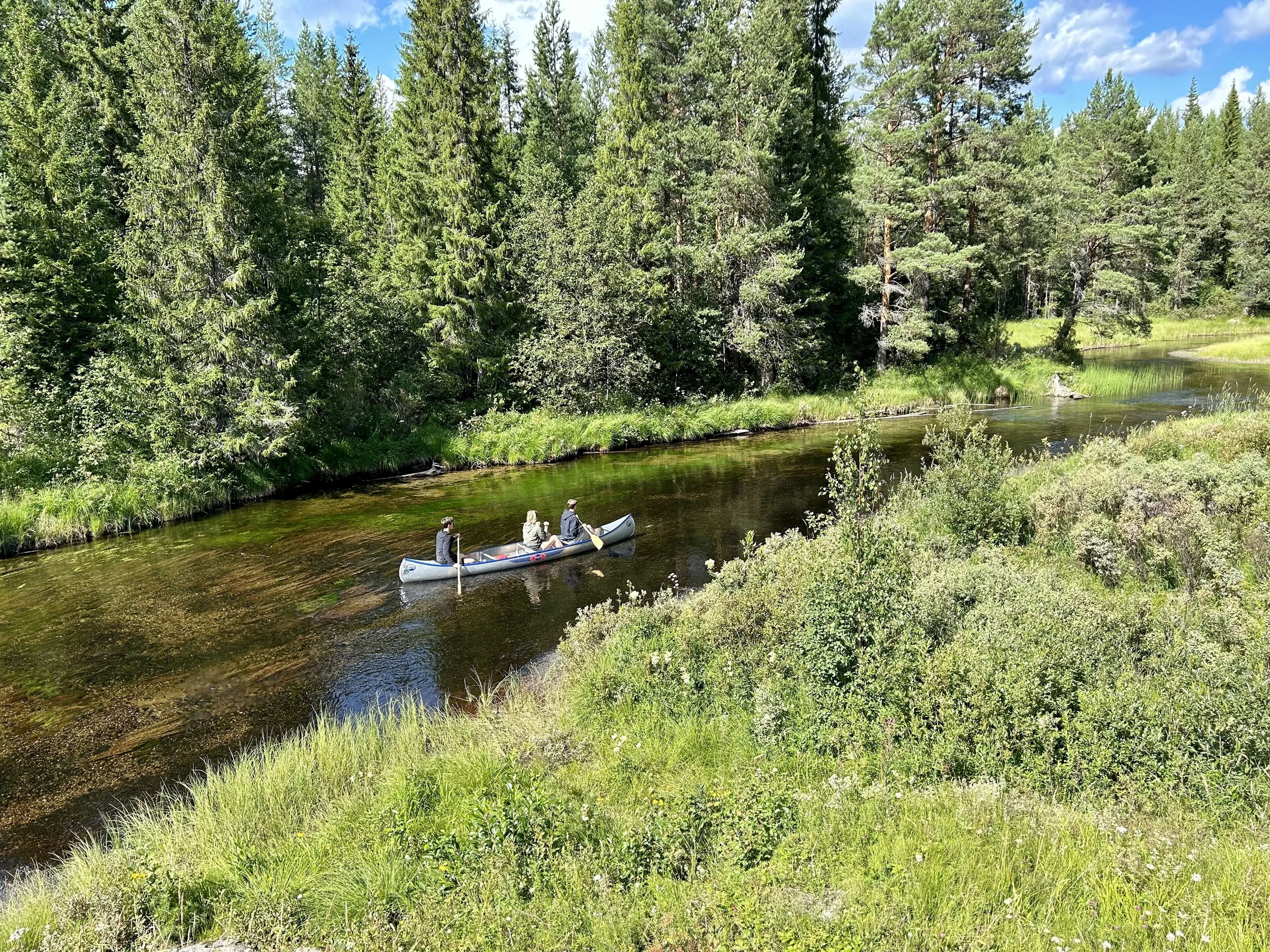 Three people paddling a canoe in a peaceful river surrounded by dense green trees and lush vegetation.