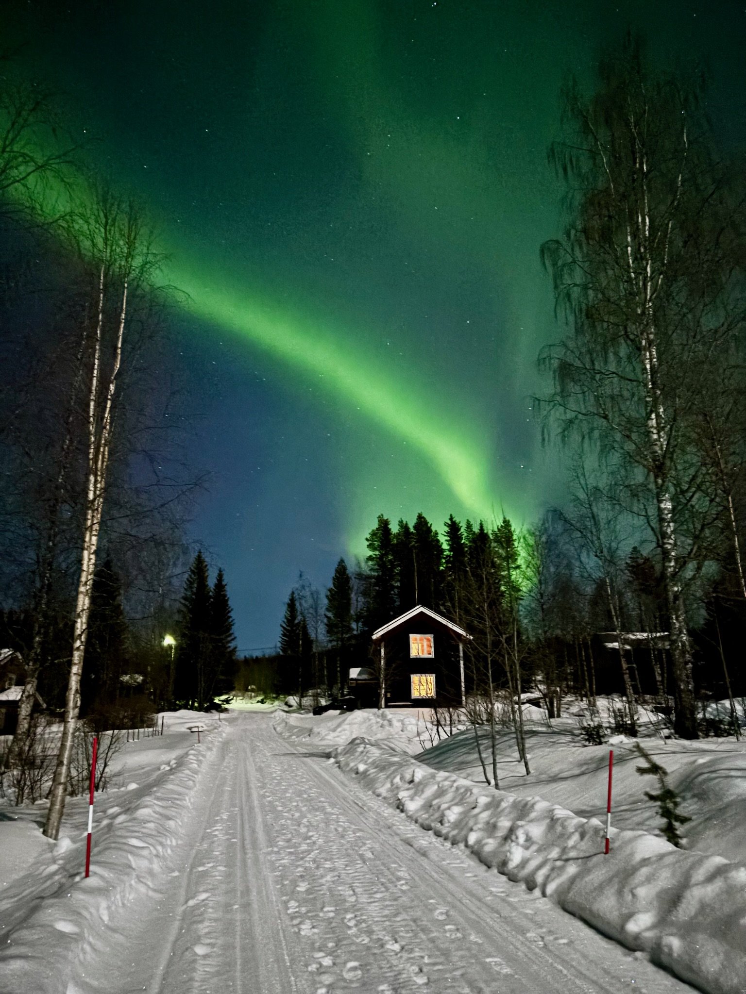 Nighttime snow-covered rural road with birch and pine trees, illuminated house windows, and the northern lights in the green sky.
