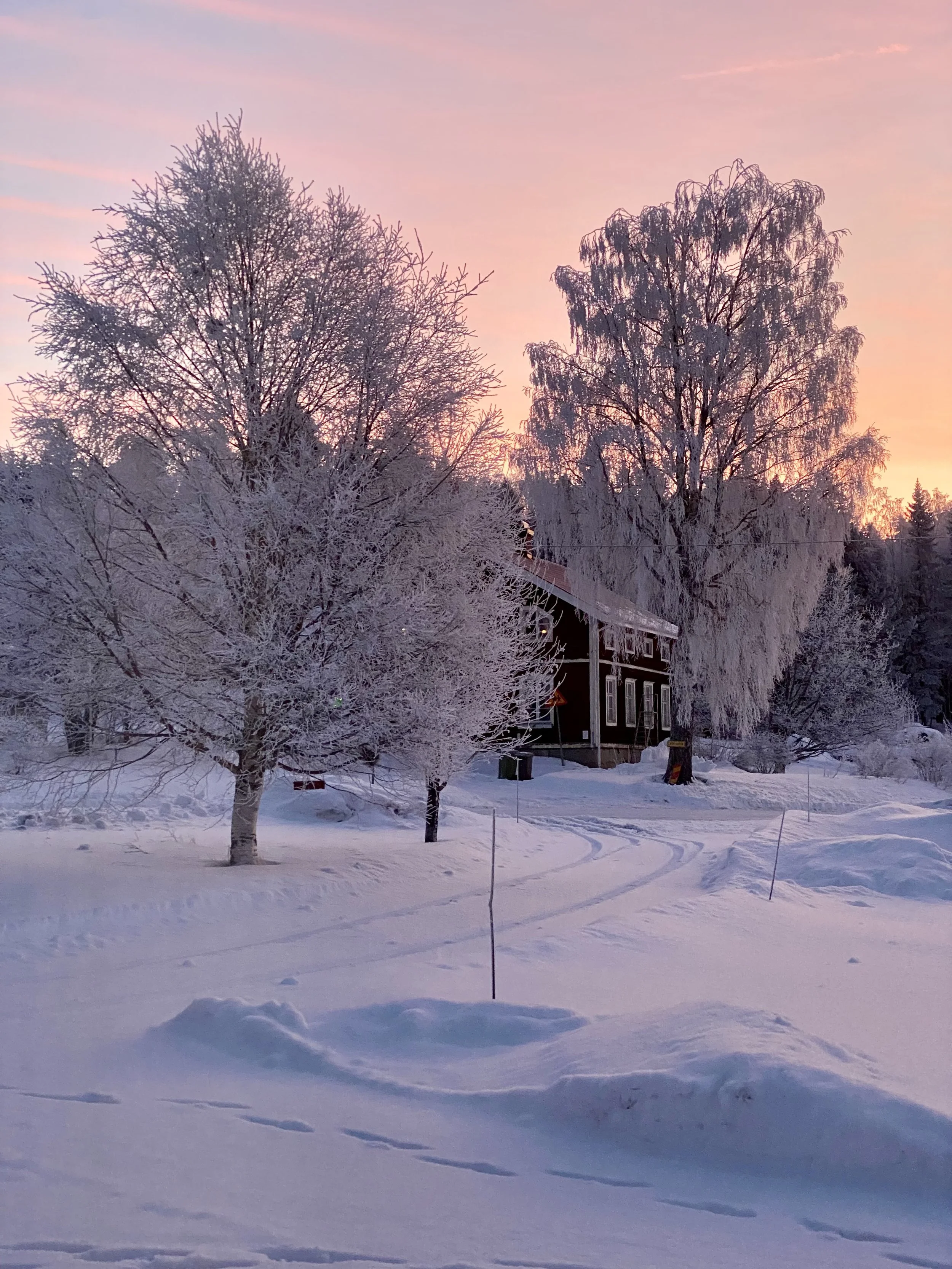 Snow-covered trees and a house at sunset with pink and orange sky.
