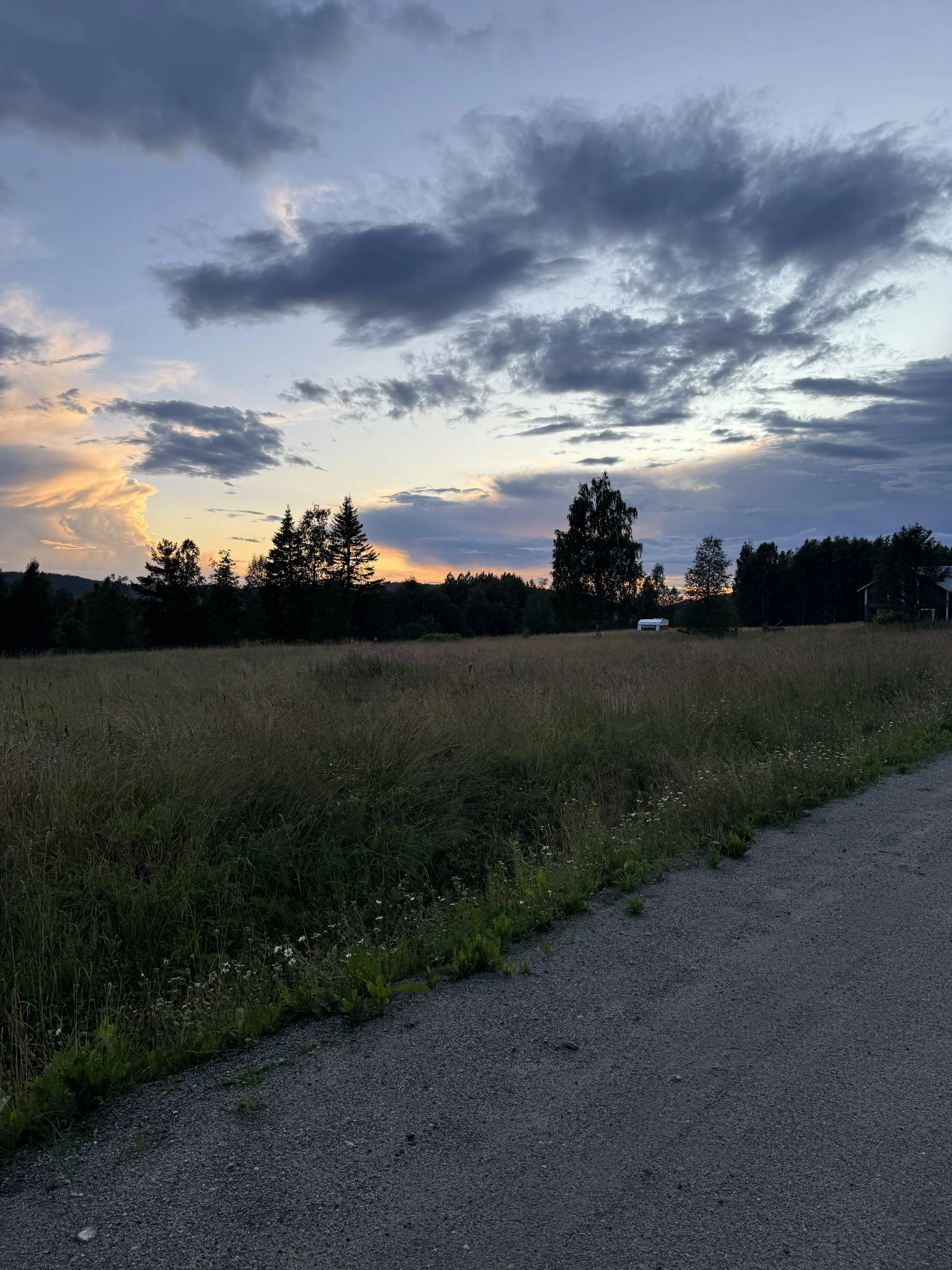Scenic view of a rural landscape at sunset with clouds in the sky, a grassy field, and trees in the distance.