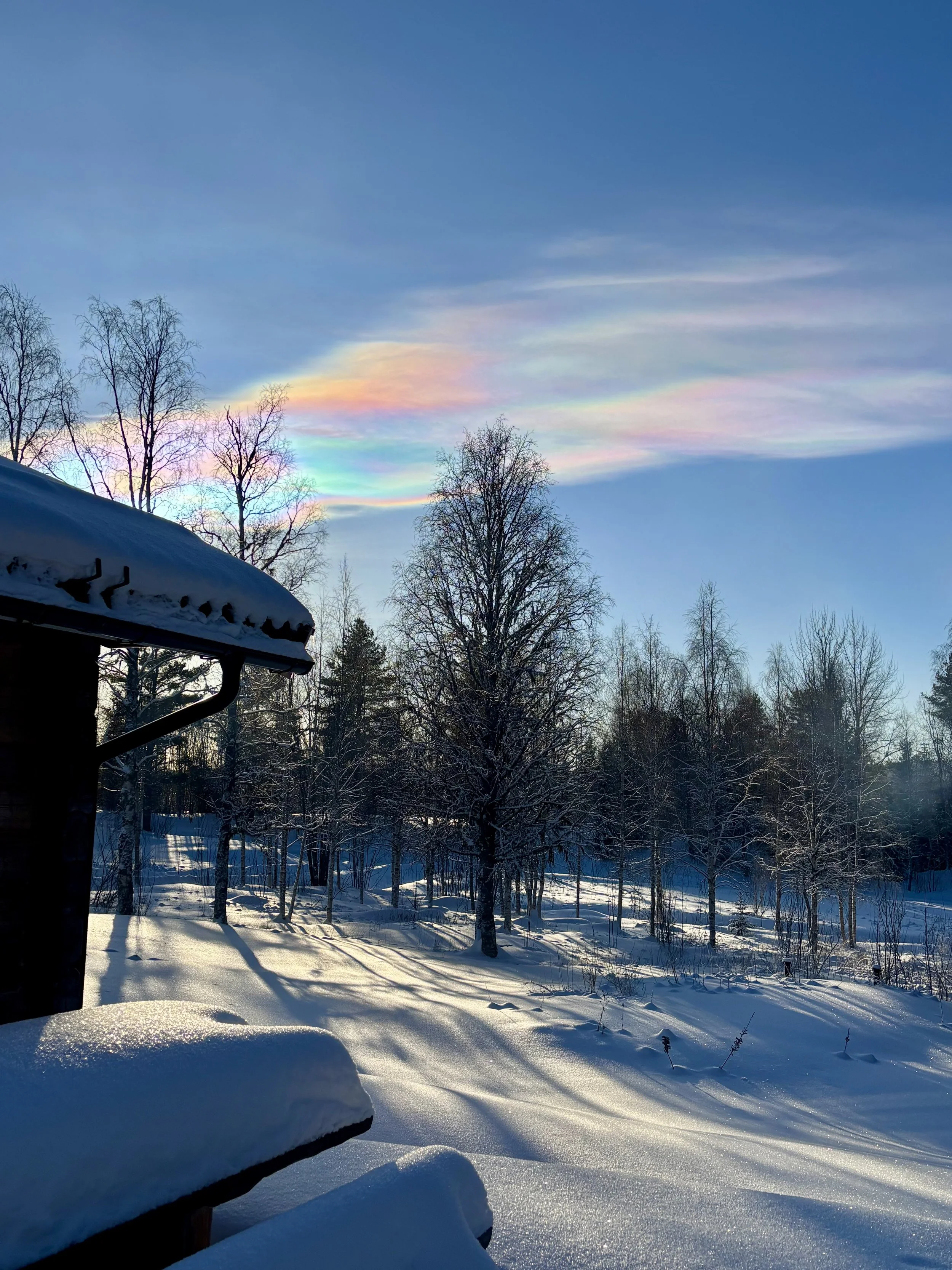 Snow-covered landscape with leafless trees, a building with a snow-covered roof, and a colorful halo in the sky during daylight.