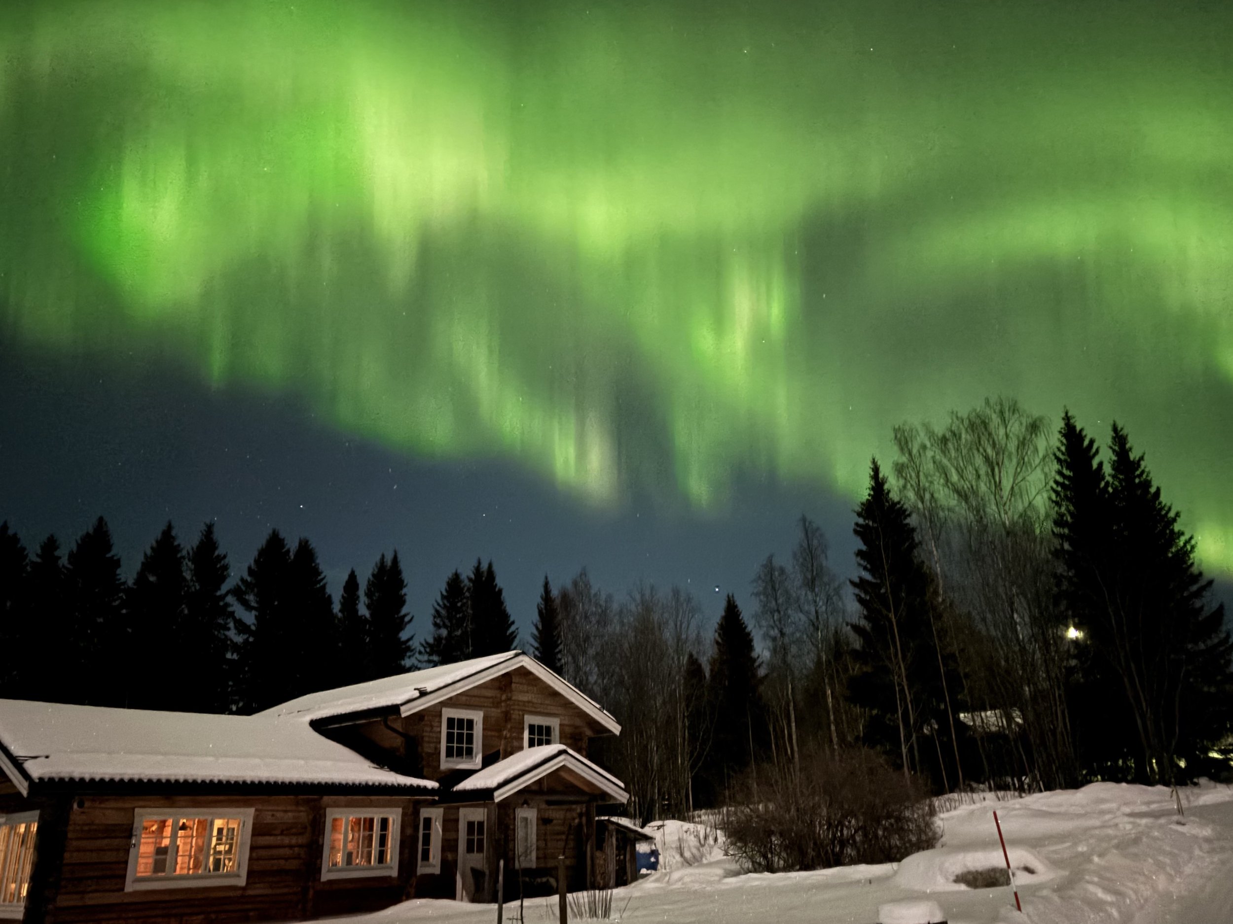 Northern lights glowing green in the night sky above a snowy landscape with a wooden house and tall evergreen trees.