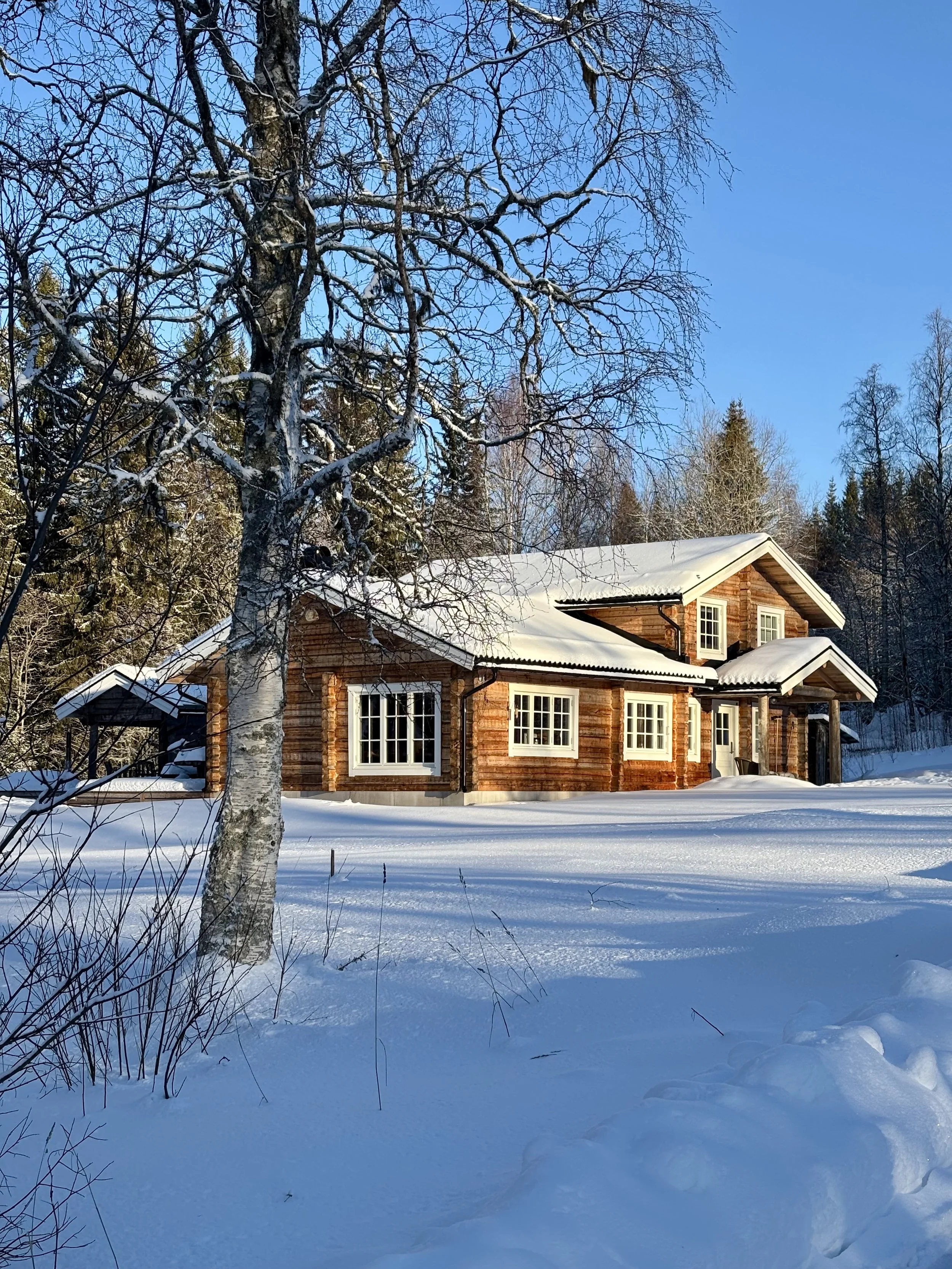 A wooden house in a snowy landscape with a leafless tree in the foreground and a clear blue sky.