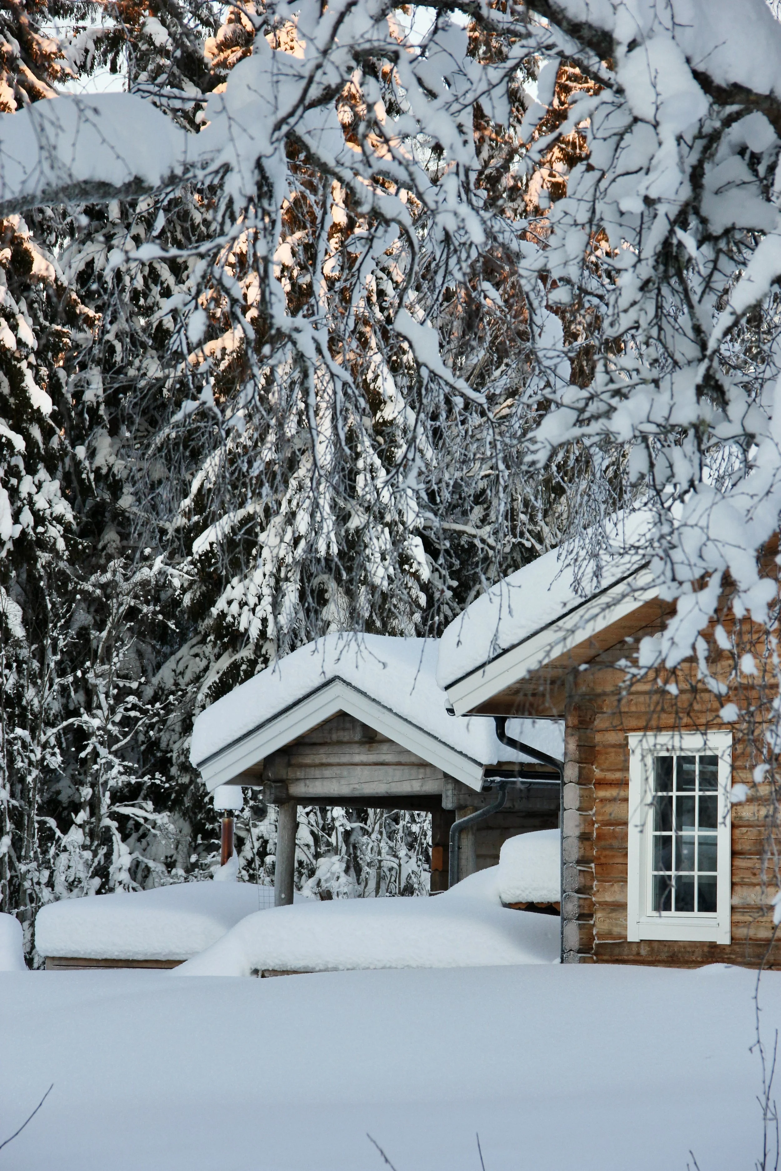 A snow-covered wooden house with a window and a porch, surrounded by snow-laden trees.
