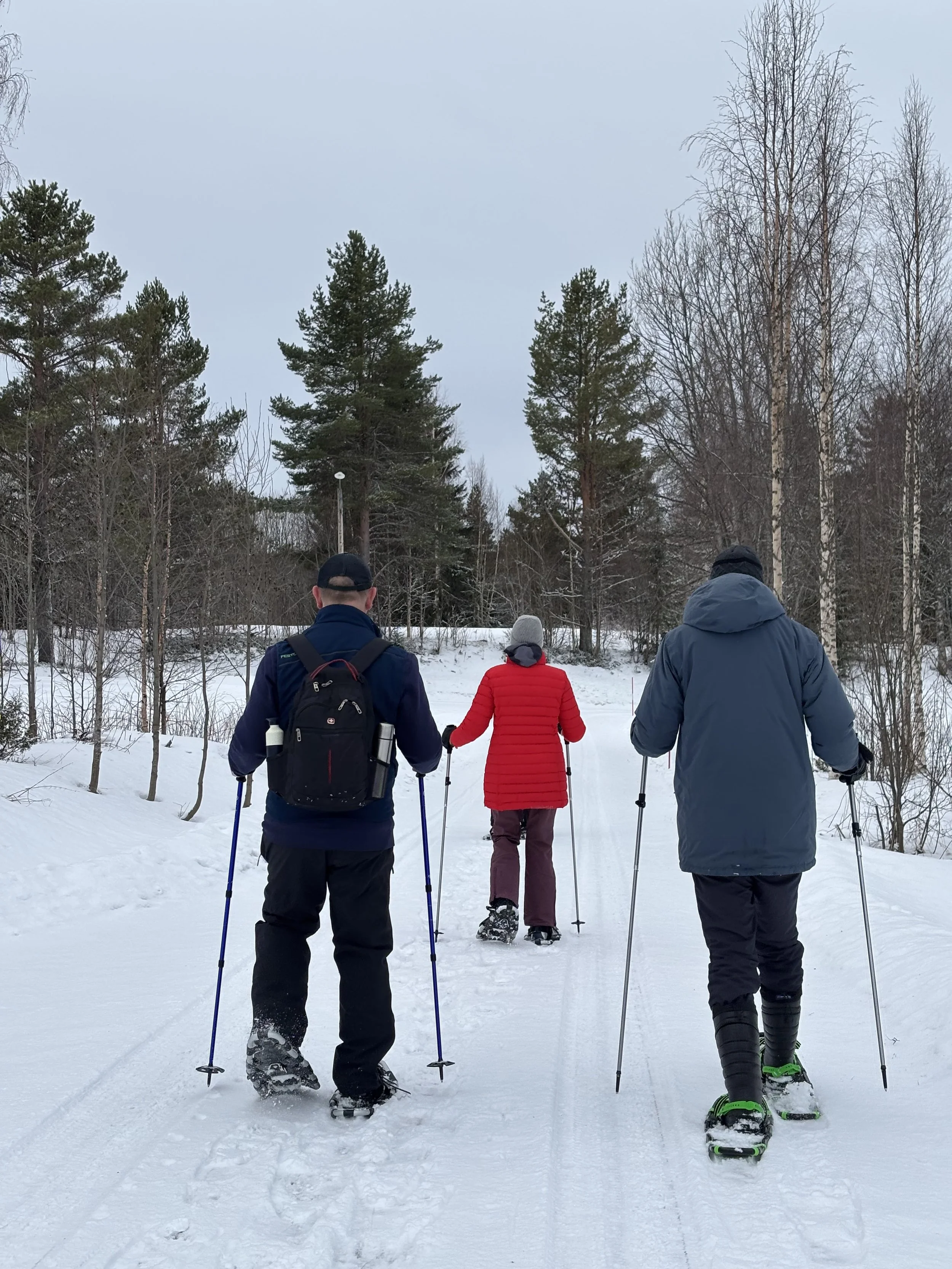 Three people snowshoeing on a snow-covered trail through a wooded area in winter. One person wears a red jacket, the others wear dark jackets.