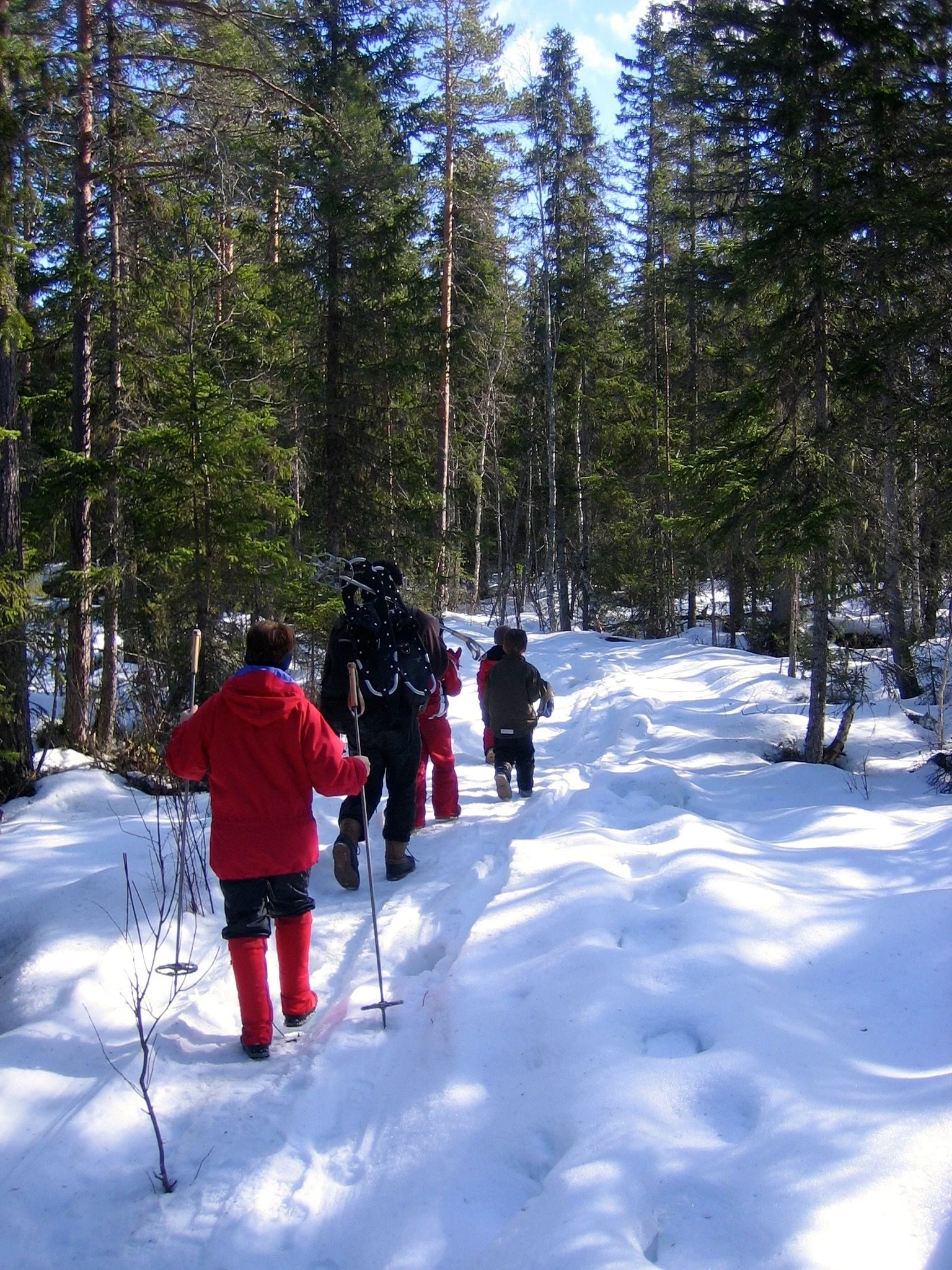 Group of people hiking through a snowy forest, dressed warmly with backpacks and walking poles.