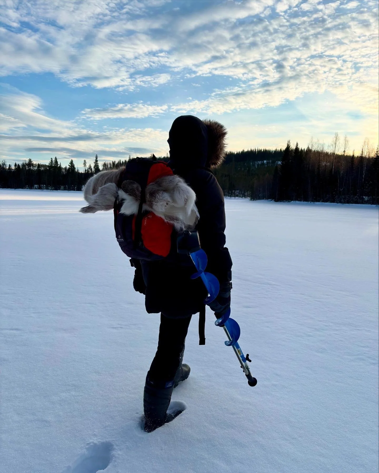 Person in winter clothing, walking over snow in a winter landscape with a forest and cloudy sky in the background.