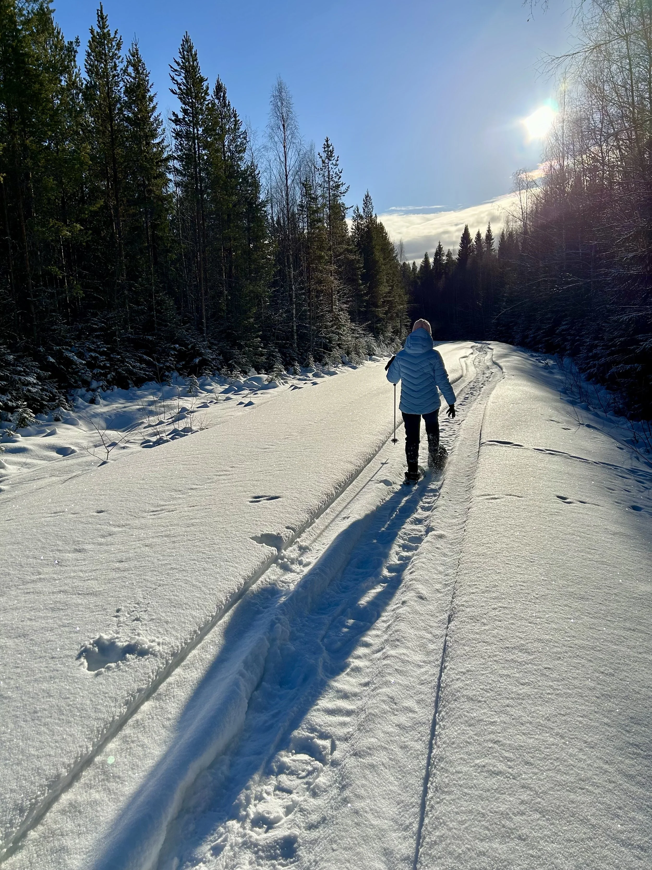 Person hiking on a snowy trail in a forest on a sunny winter day.