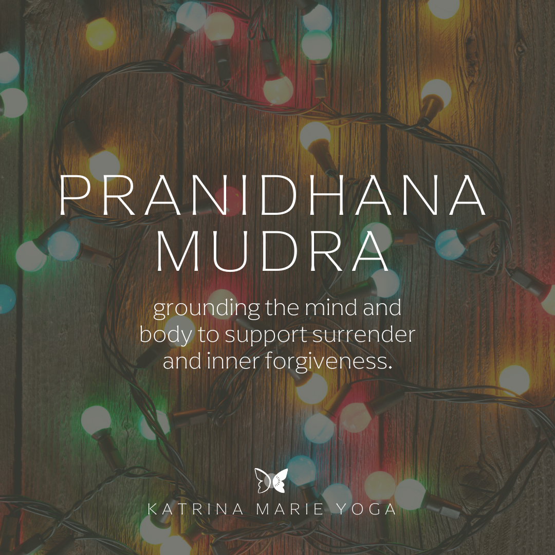 Pranidhana Mudra: grounding the mind and body to support surrender and inner forgiveness.