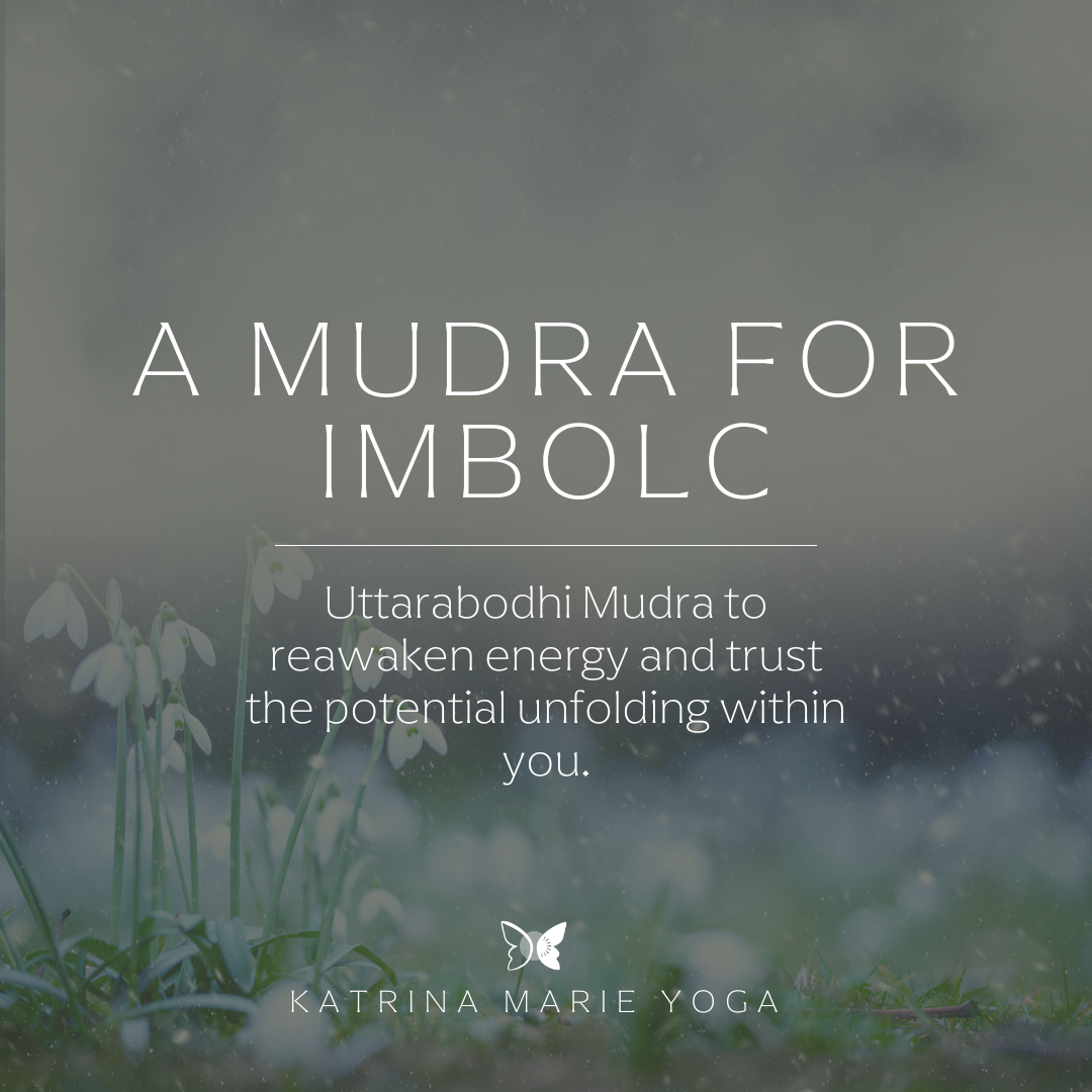 A Mudra for Imbolc: Uttarabodhi — reawaken energy and trust the potential unfolding within you.