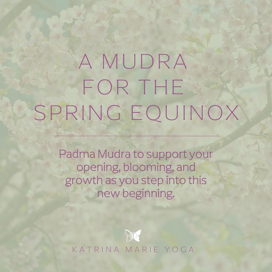 A Mudra for the Spring Equinox: Padma — support your opening, blooming, and growth as you step into this new beginning.