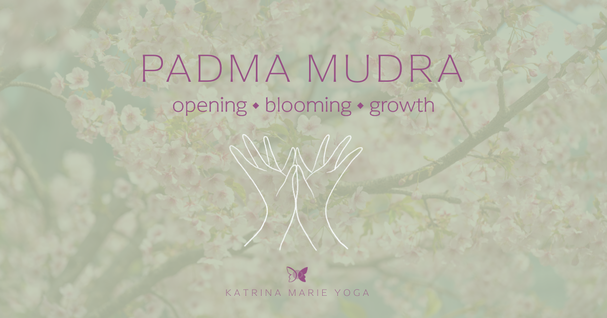 A soft floral background in sage and blush tones with the text Padma Mudra in large letters, the keywords opening, blooming, and growth below it, a hand drawn sketch of Padma Mudra hands, and the Katrina Marie Yoga logo at the bottom.