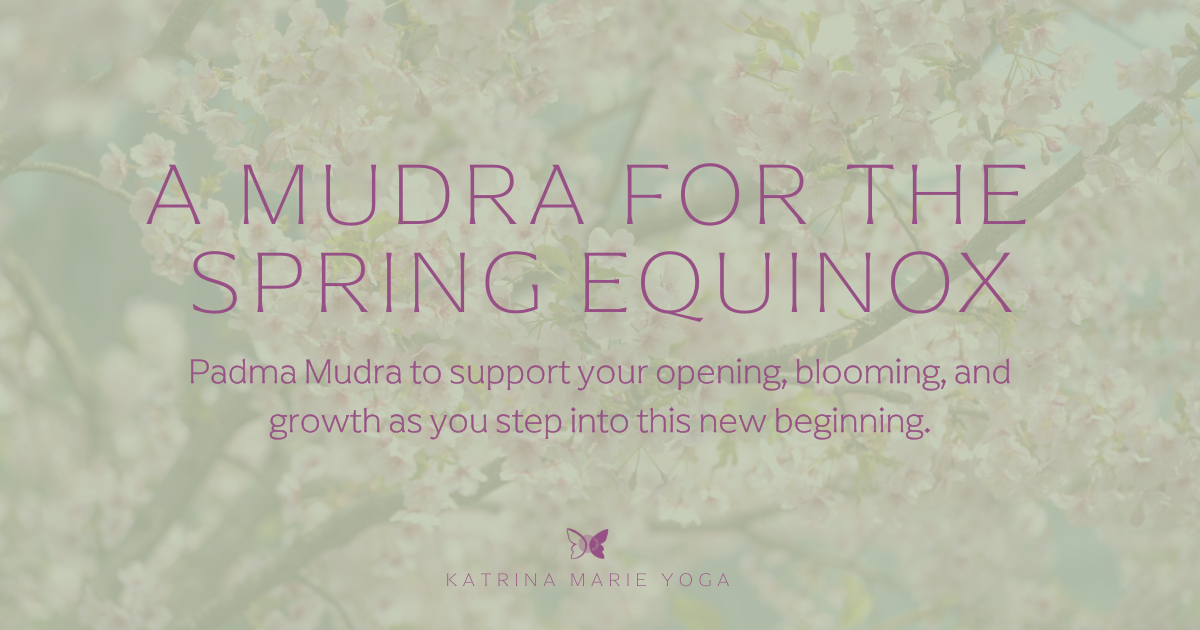 A sage green graphic with the text Padma Mudra in large letters, the keywords opening, blooming, and growth below it, a white line illustration of Padma Mudra hands, and the Katrina Marie Yoga logo at the bottom.
